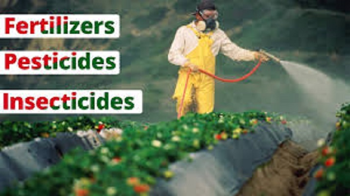 insecticides and pesticides project insecticides and pesticides project