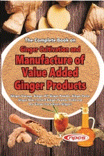 The Complete Book on Ginger Cultivation and Manufacture of Value Added Ginger Products (Ginger Storage, Ginger Oil, Ginger Powder, Ginger Paste, Ginger Beer, Instant Ginger Powder Drink and Dry Ginger from Green Ginger)