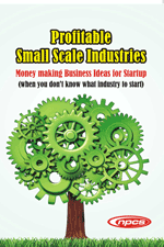 Profitable Small Scale Industries- Money making Business Ideas for Startup (when you don’t know what industry to start) 2nd Revised Edition