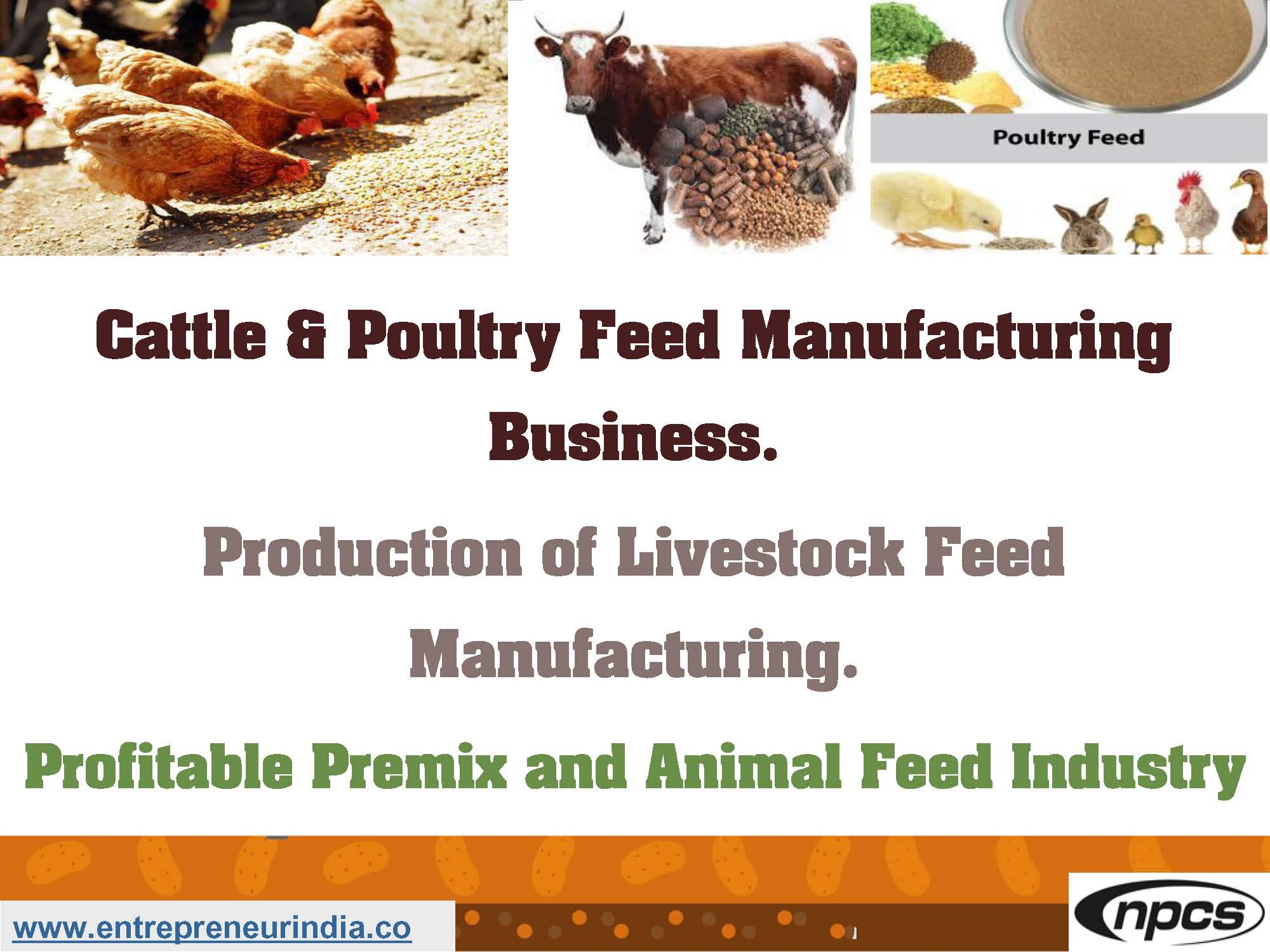 Cattle & Poultry Feed Manufacturing Business