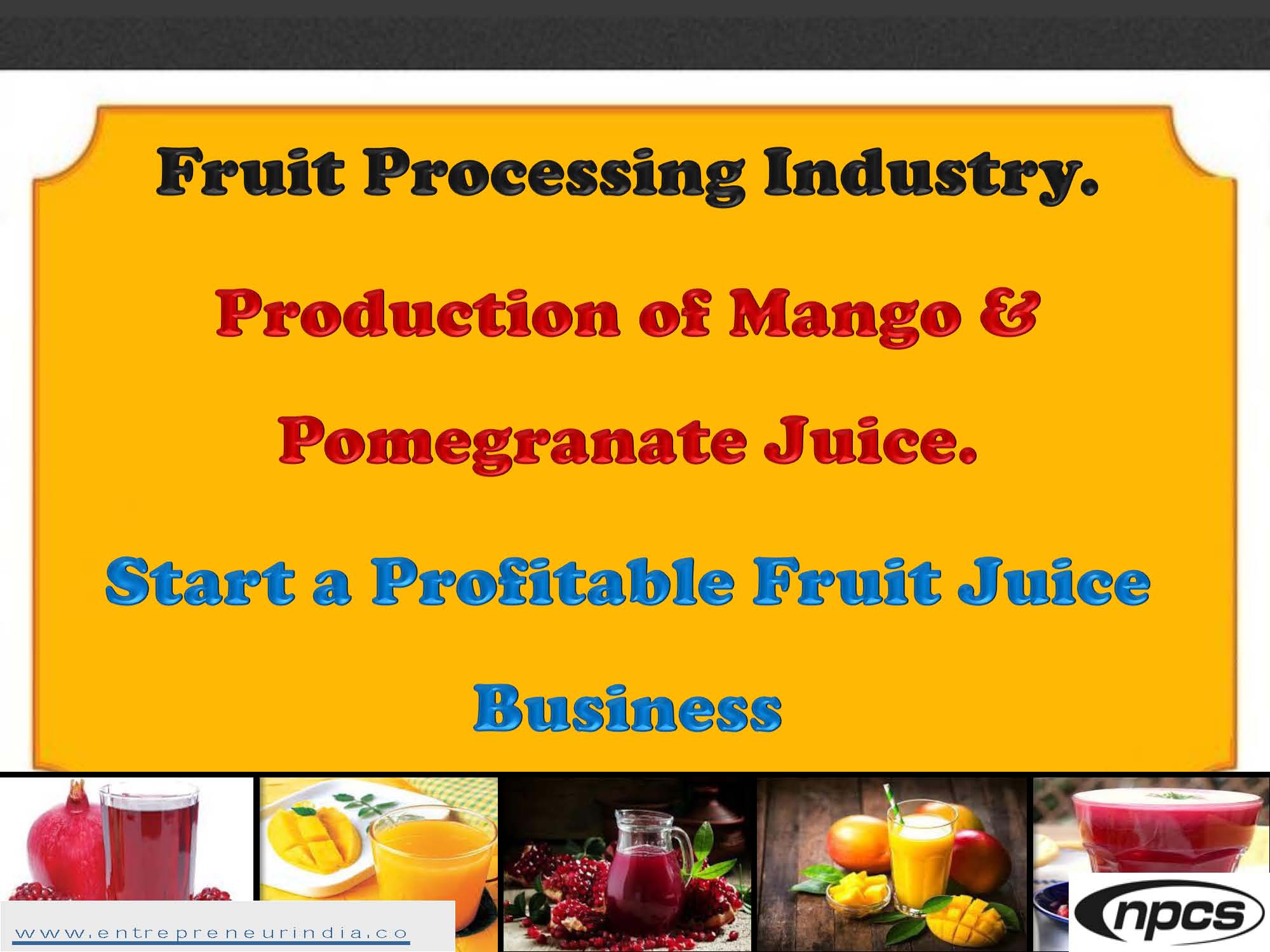Fruit Processing Industry Production of Mango and Pomegranate Juice