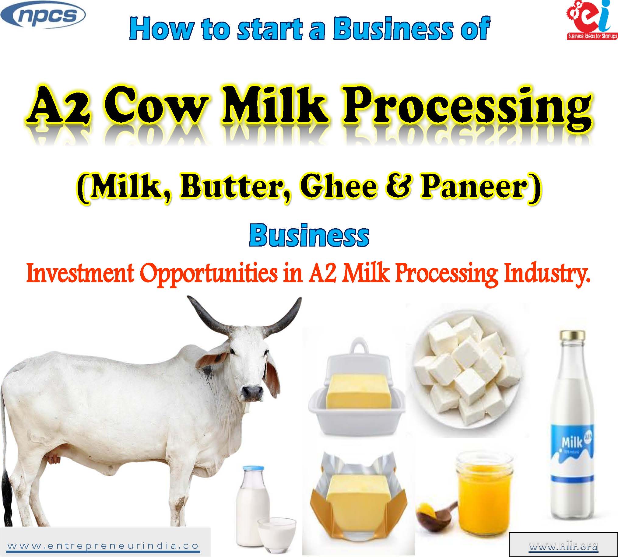 How to start a Business of A2 Cow Milk Processing Business Investment Opportunities in A2 Milk Processing Industry