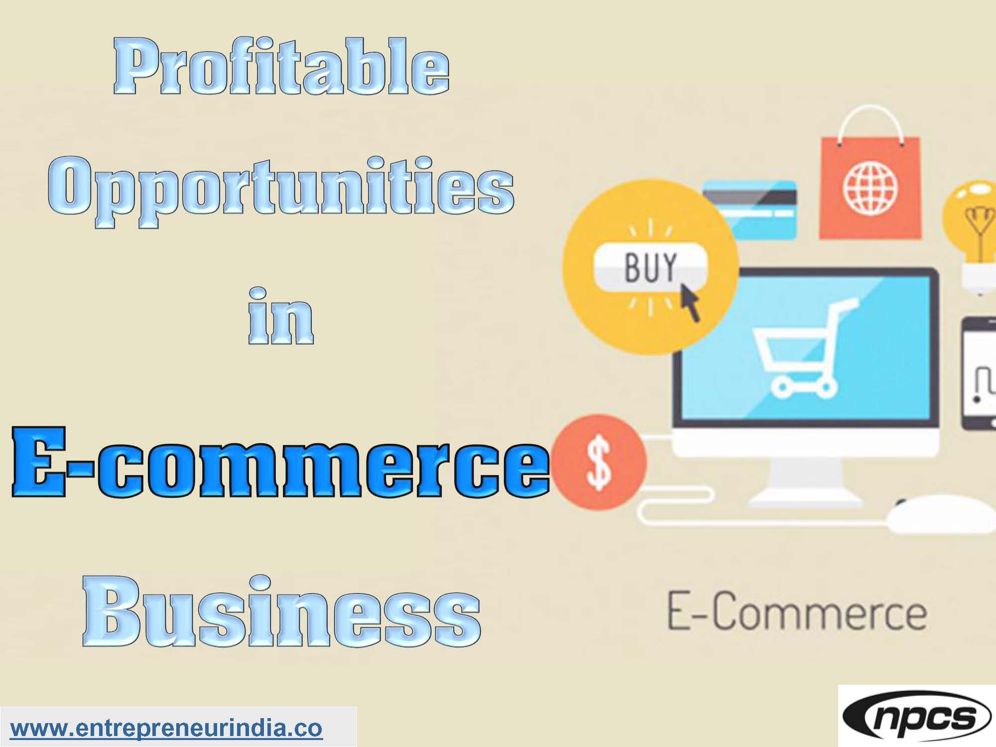 Profitable Opportunities in E-commerce Business