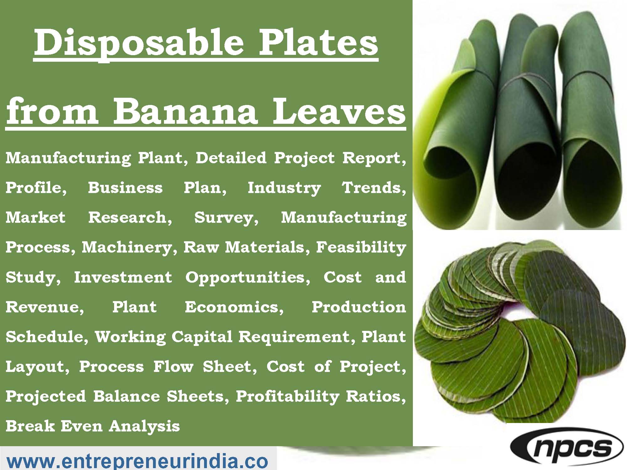 Disposable Plates from Banana Leaves