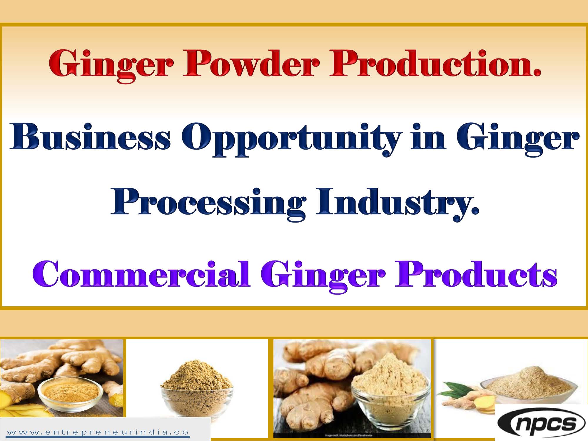 Ginger Powder Production