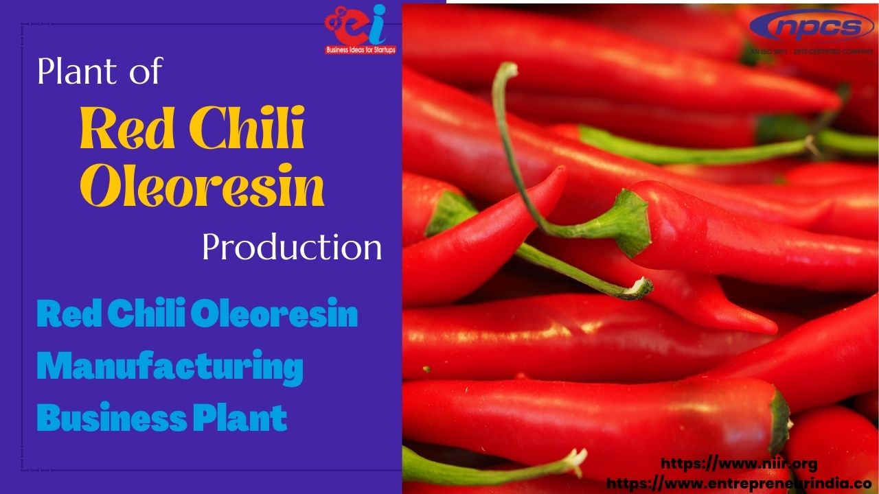 Plant of Red Chili Oleoresin Production Red Chili Oleoresin Manufacturing Business Plant