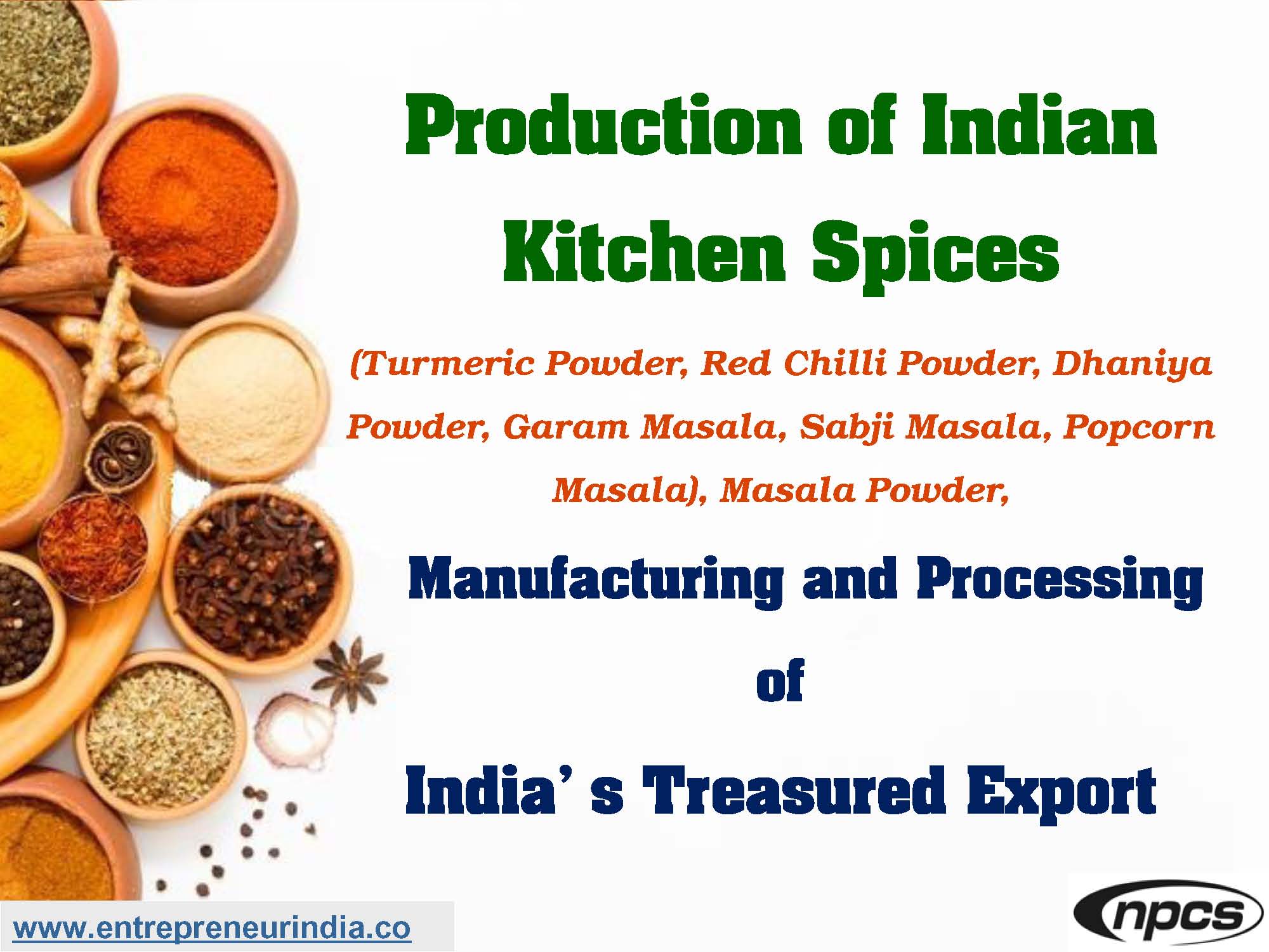spice manufacturing business plan