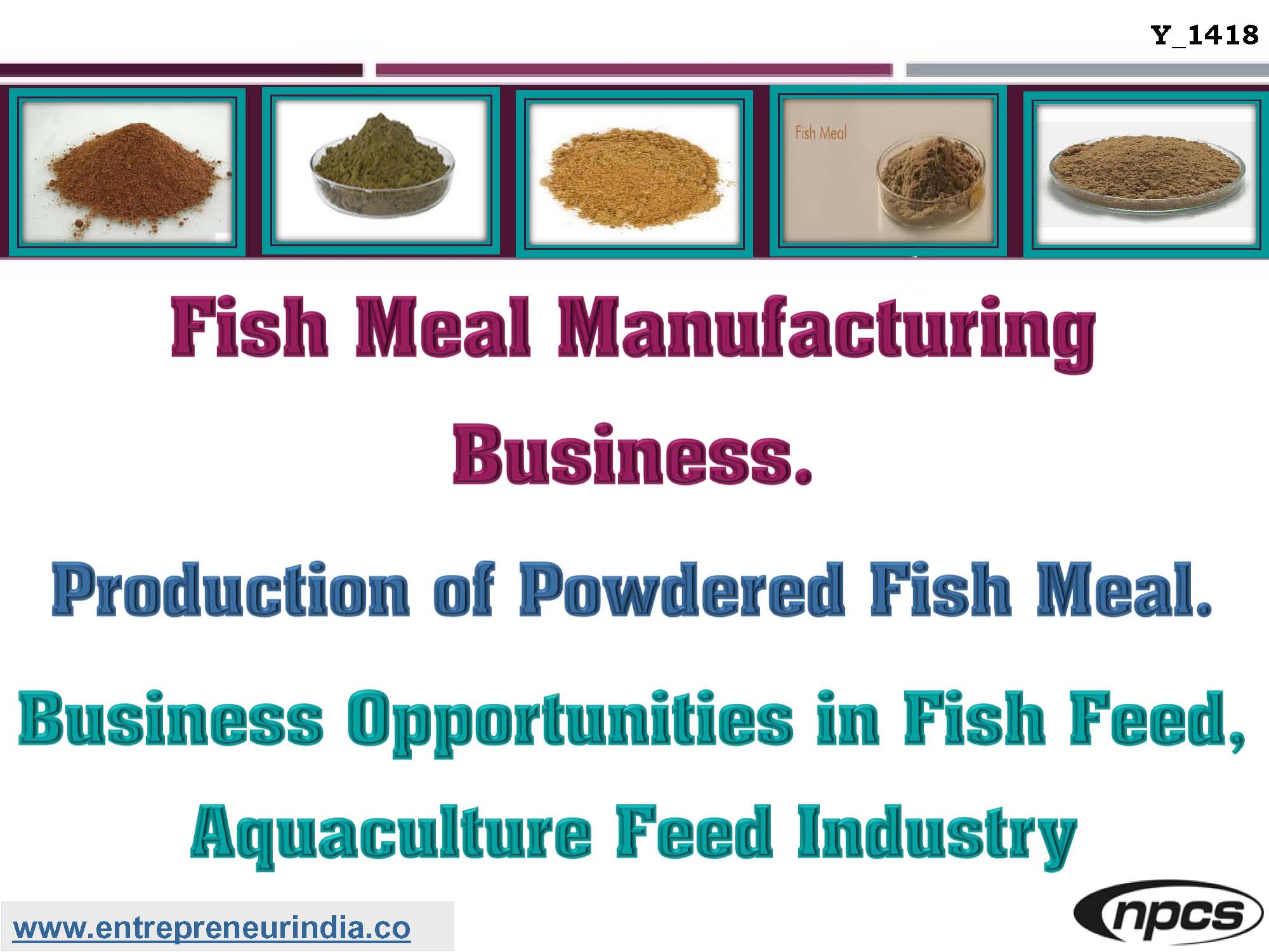 Fish Meal Manufacturing Business