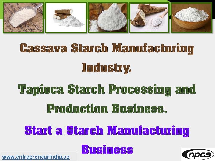 Cassava Starch Manufacturing Industry