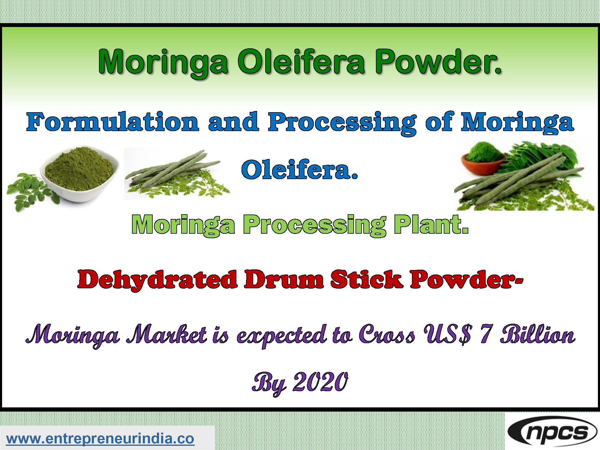 Moringa Oleifera Powder. Formulation and Processing of Moringa Oleifera
