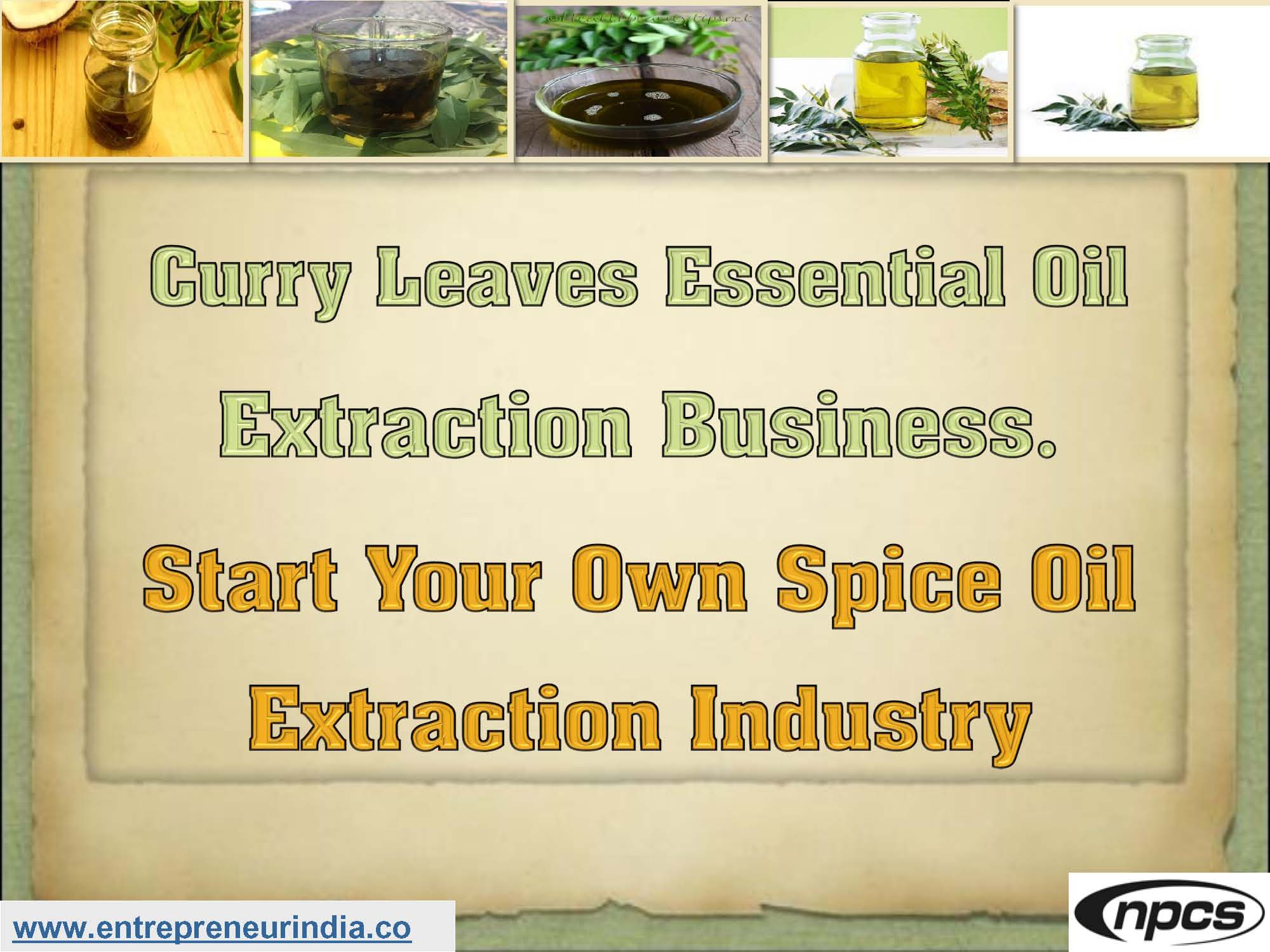 Curry Leaves Essential Oil Extraction Business