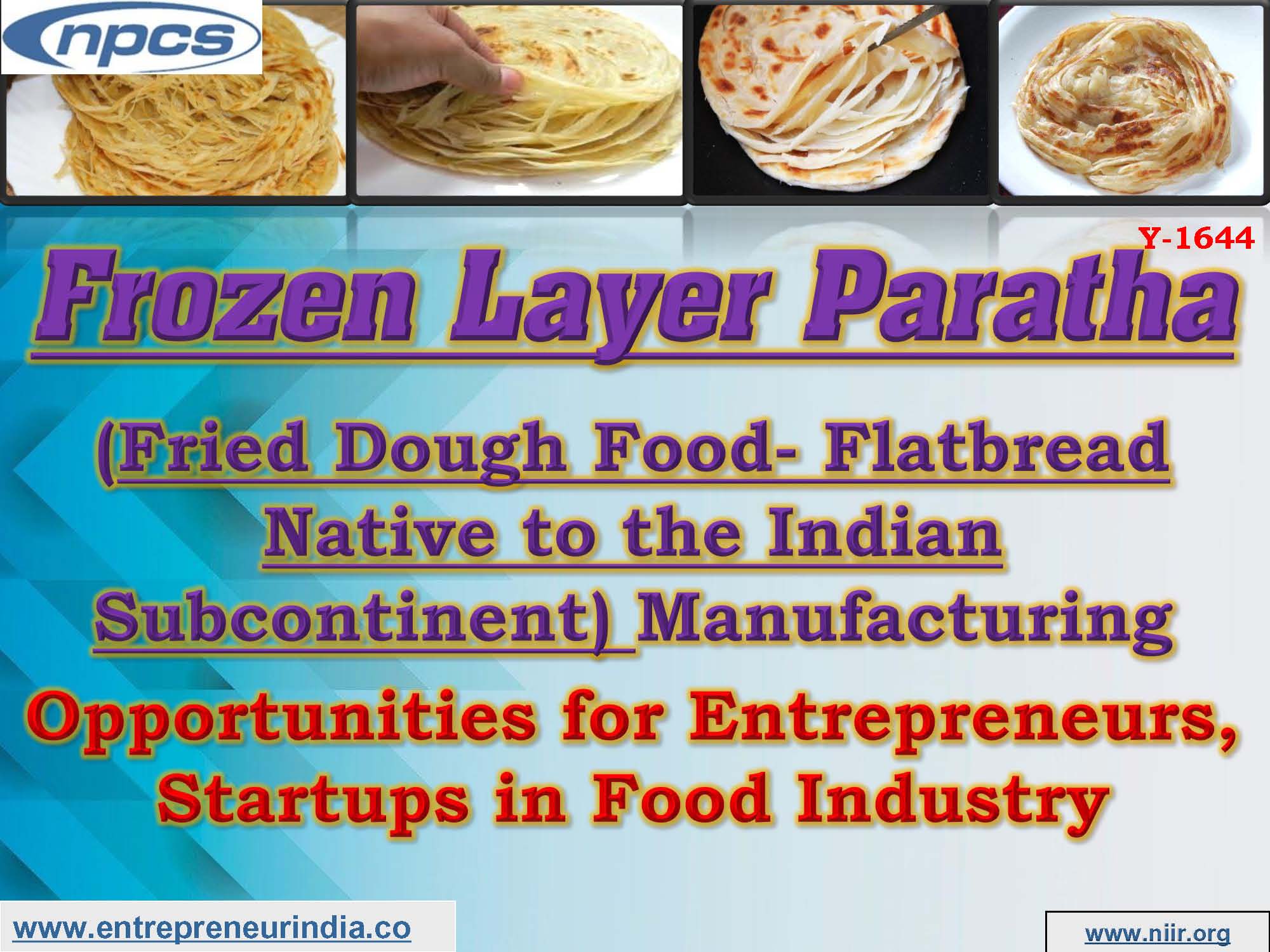 Frozen Layer Paratha (Fried Dough Food- Flatbread Native to the Indian Subcontinent)