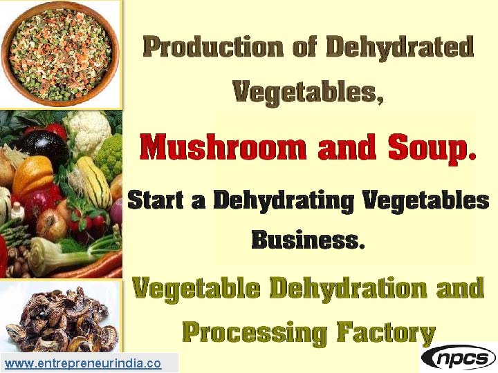 Production of Dehydrated Vegetables, Mushroom and Soup