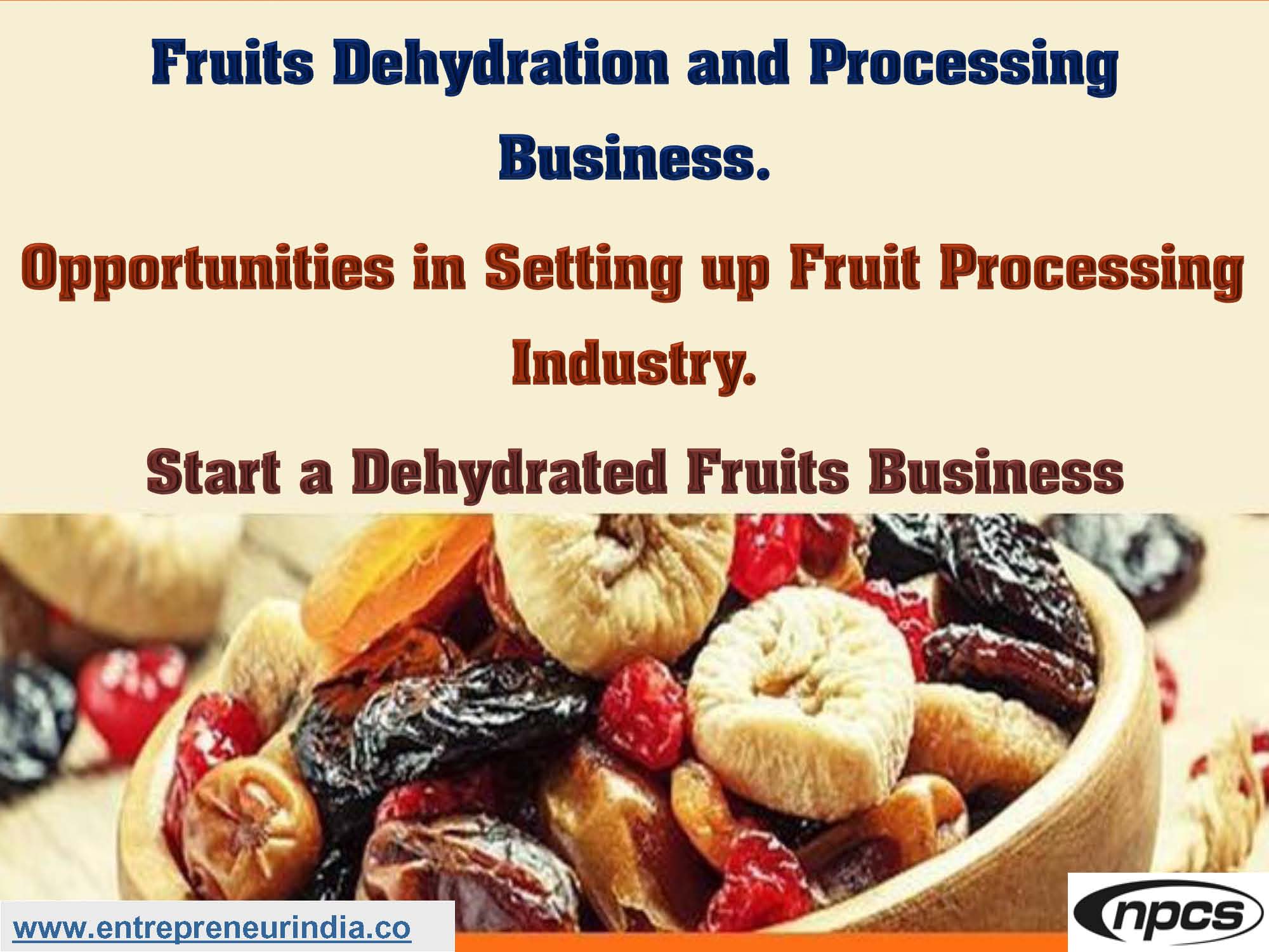 Fruits Dehydration and Processing Business