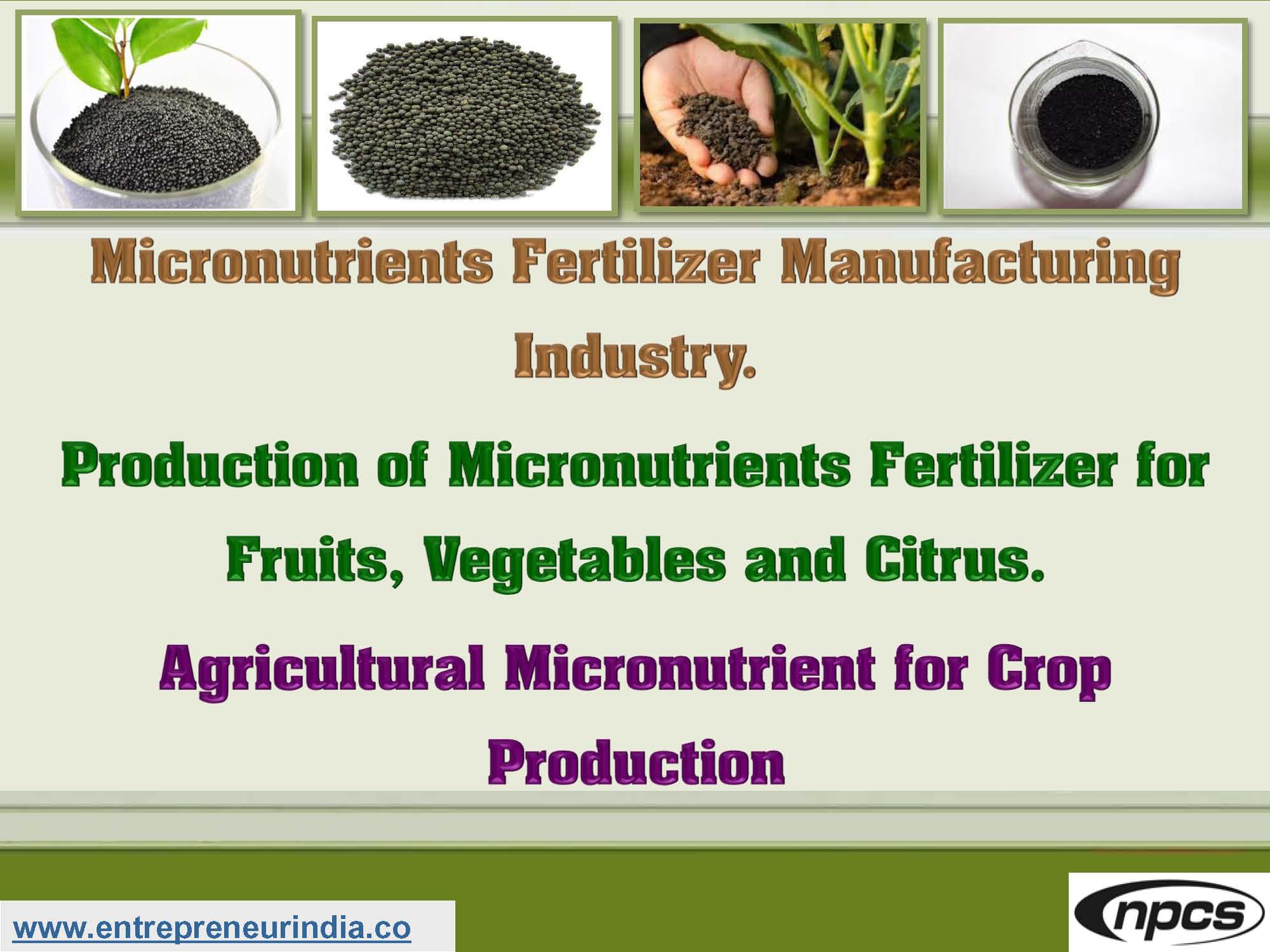 Micronutrients Fertilizer Manufacturing Industry