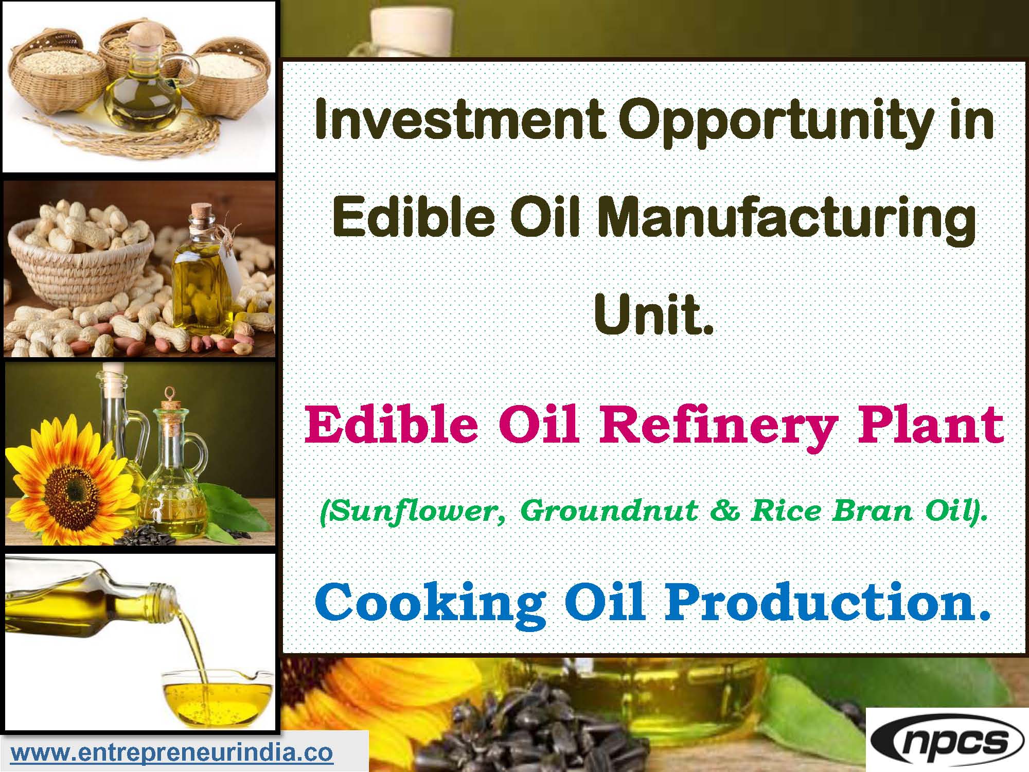 edible oil distribution business plan