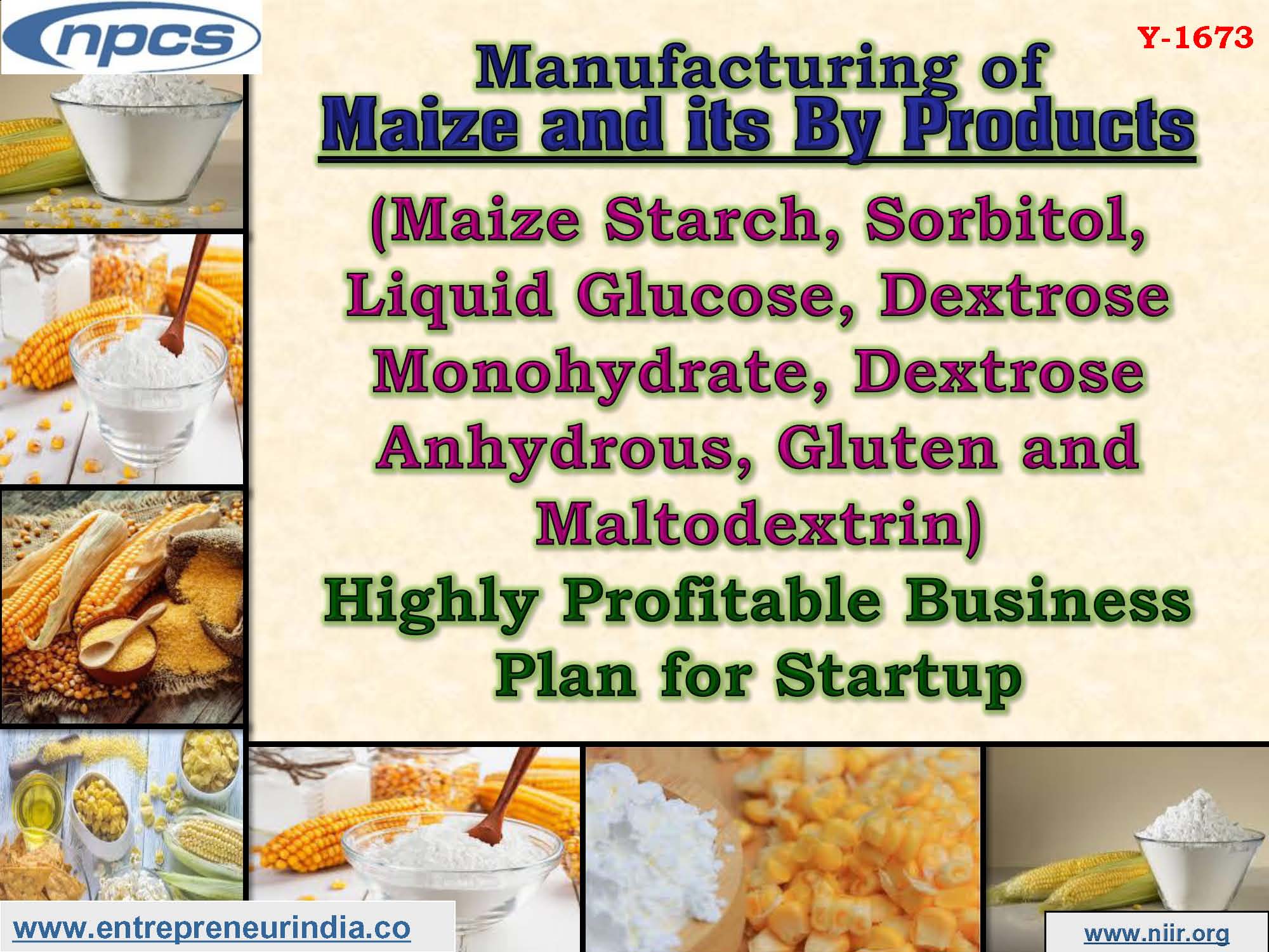 Manufacturing of Maize and its By Products