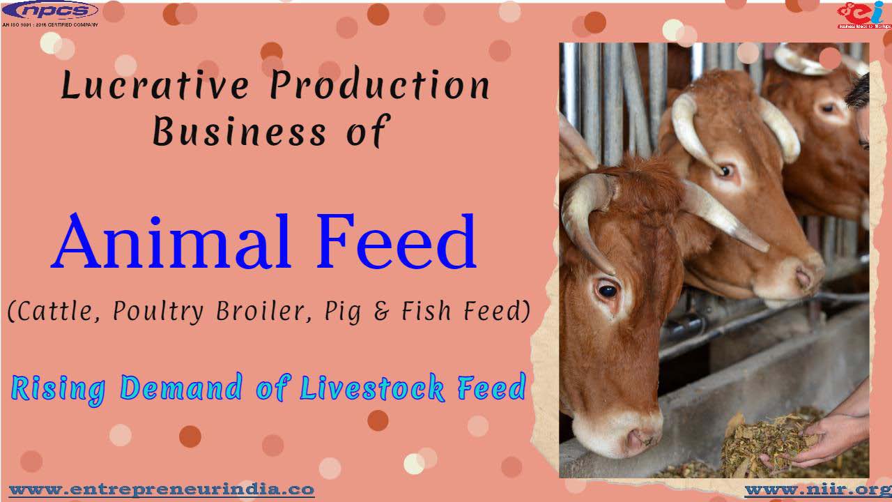 Lucrative Production Business of Animal Feed (Cattle, Poultry Broiler, Pig & Fish Feed) Rising Demand of Livestock Feed