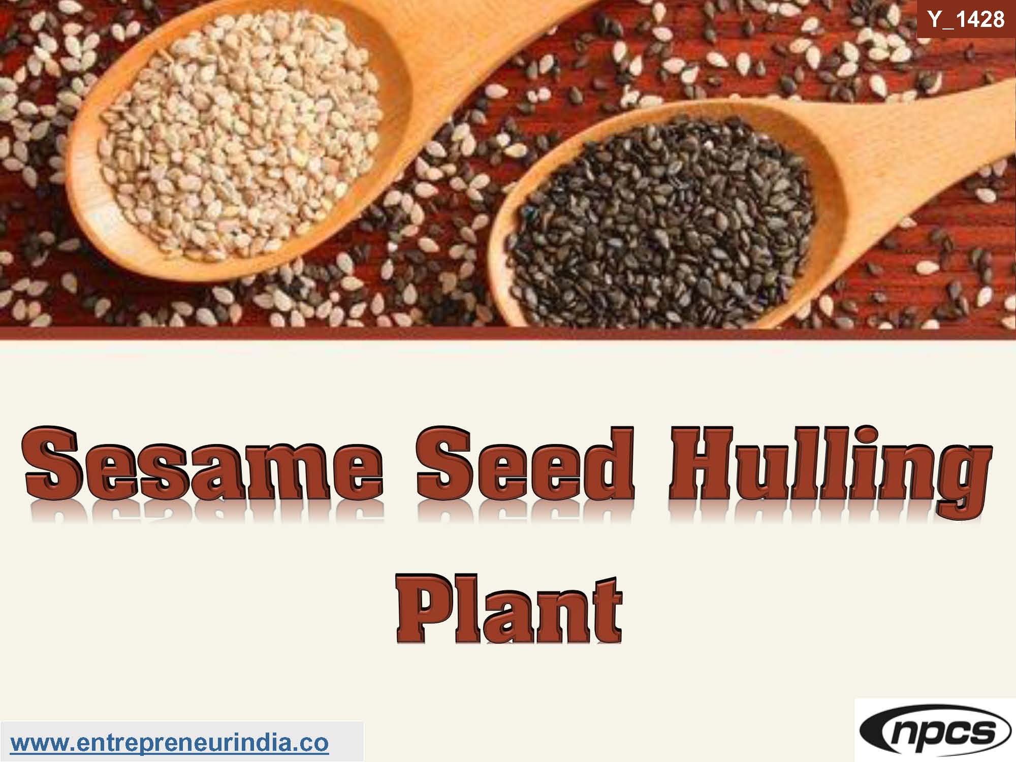 Sesame Seed Hulling Plant
