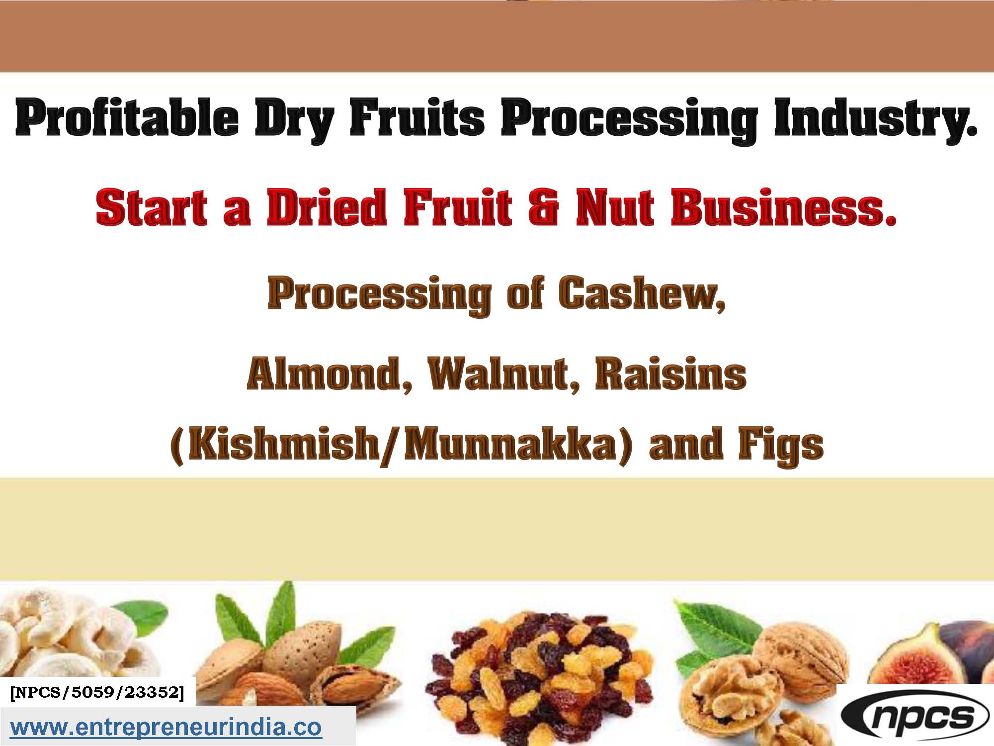 dry fruit business plan