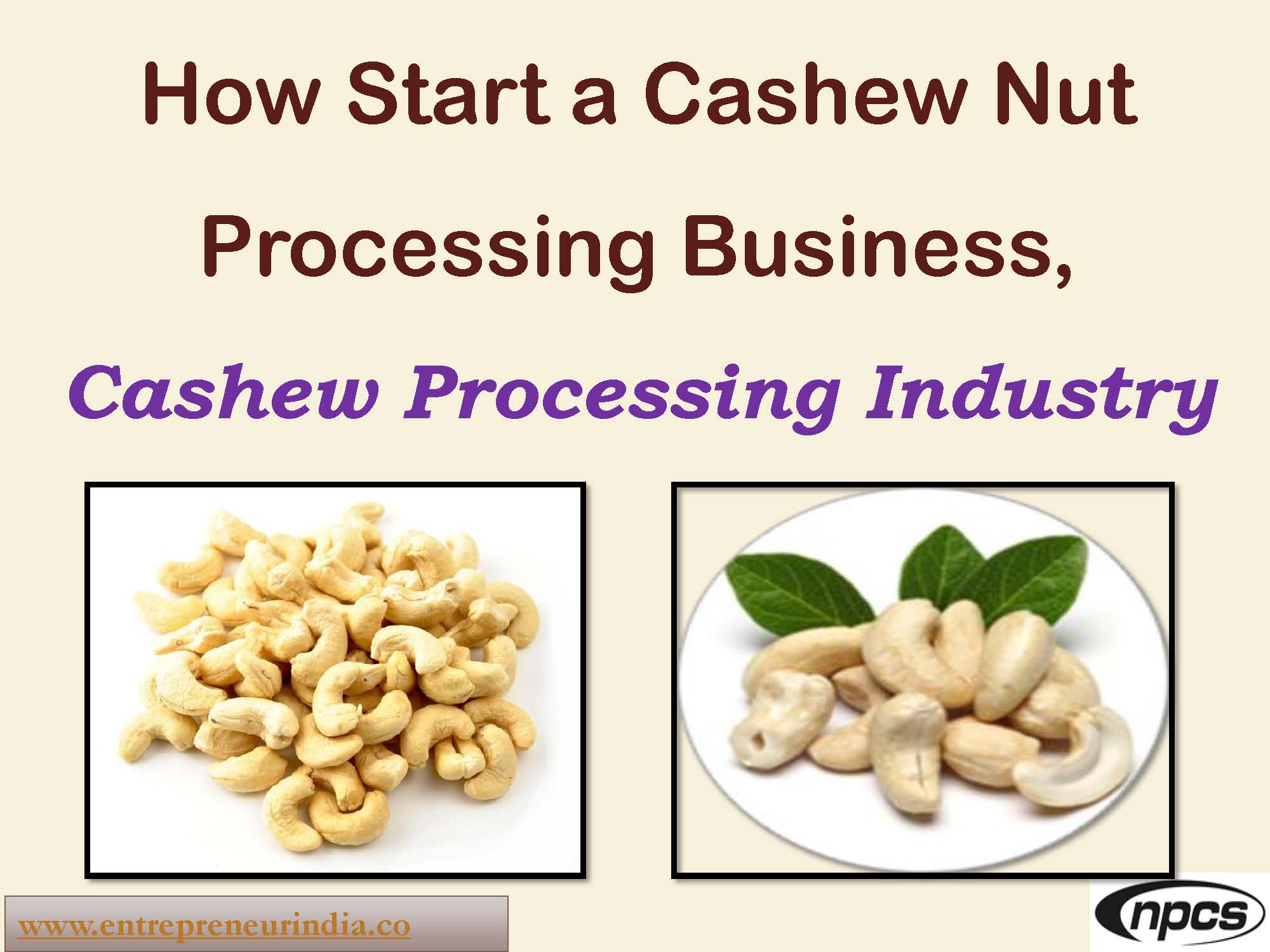 business plan on cashew nut production