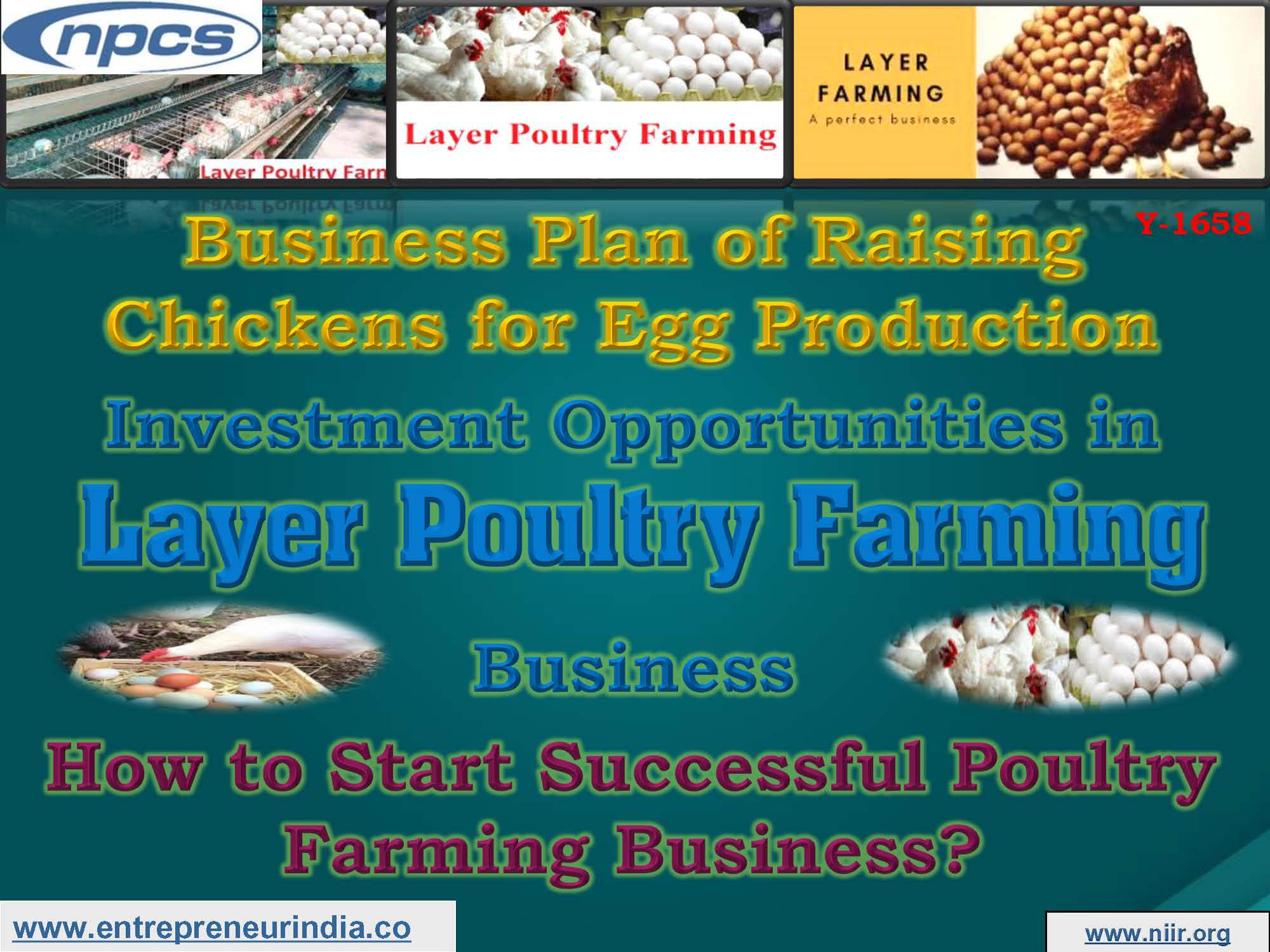 egg business plan in india