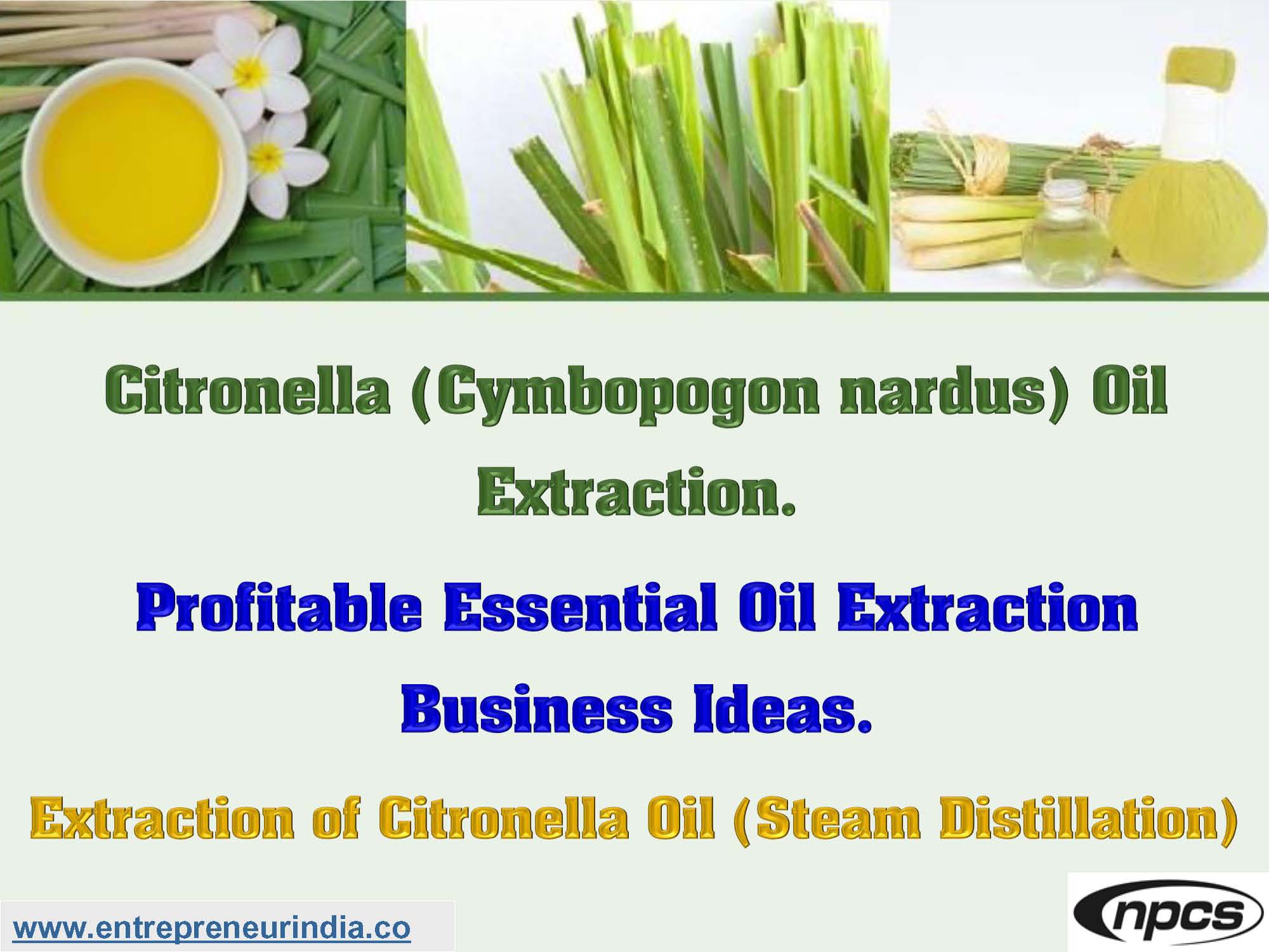 Citronella (Cymbopogon nardus) Oil Extraction
