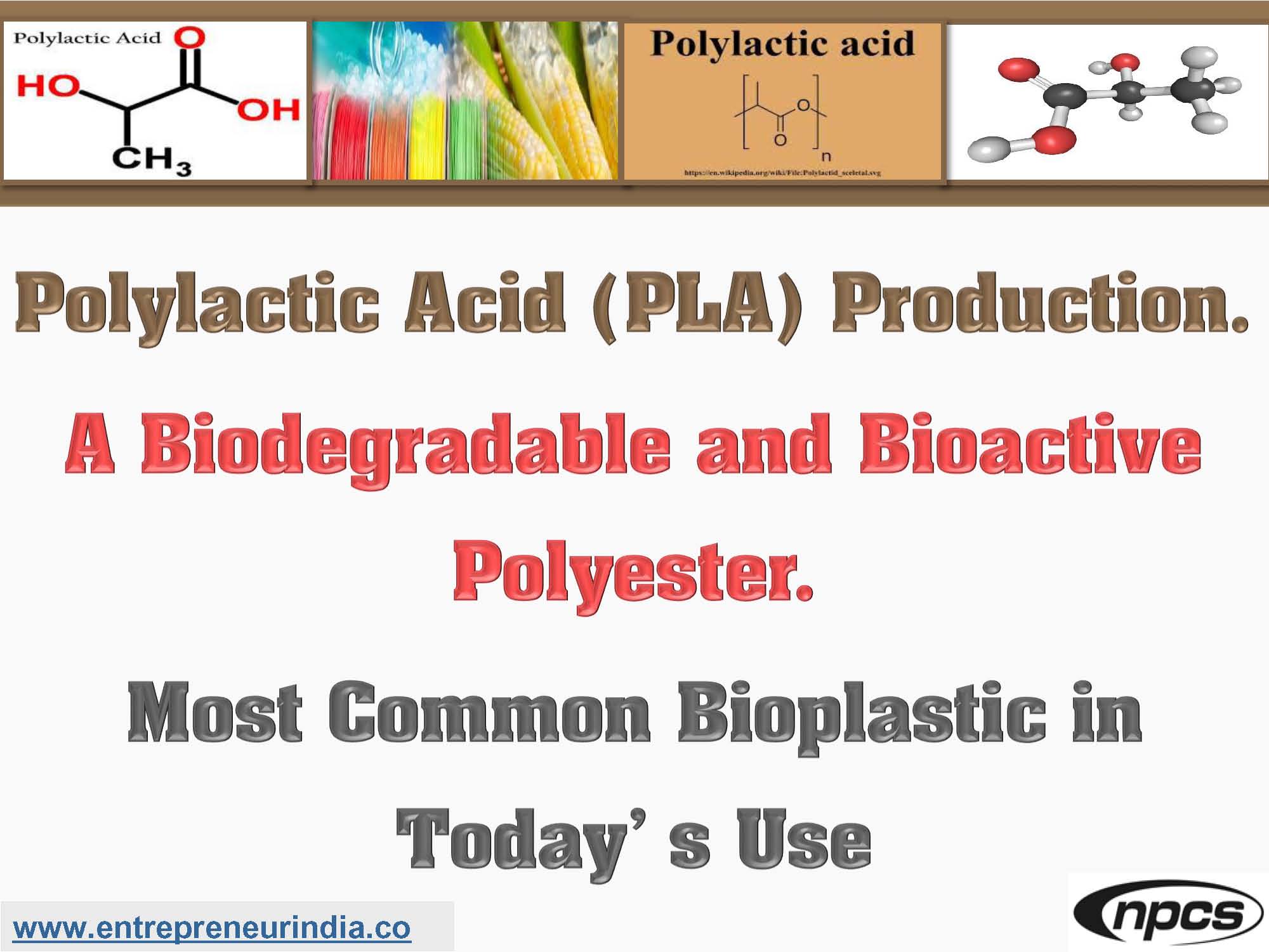 Polylactic Acid (PLA) Production