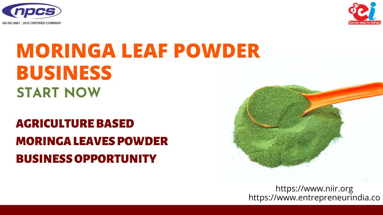 Moringa Leaf Powder business Start Now Agriculture Based Moringa Leaves Powder Business Opportunity