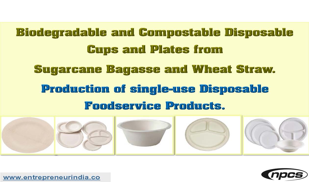 Biodegradable and Compostable Disposable Cups and Plates from Sugarcane Bagasse and Wheat Straw