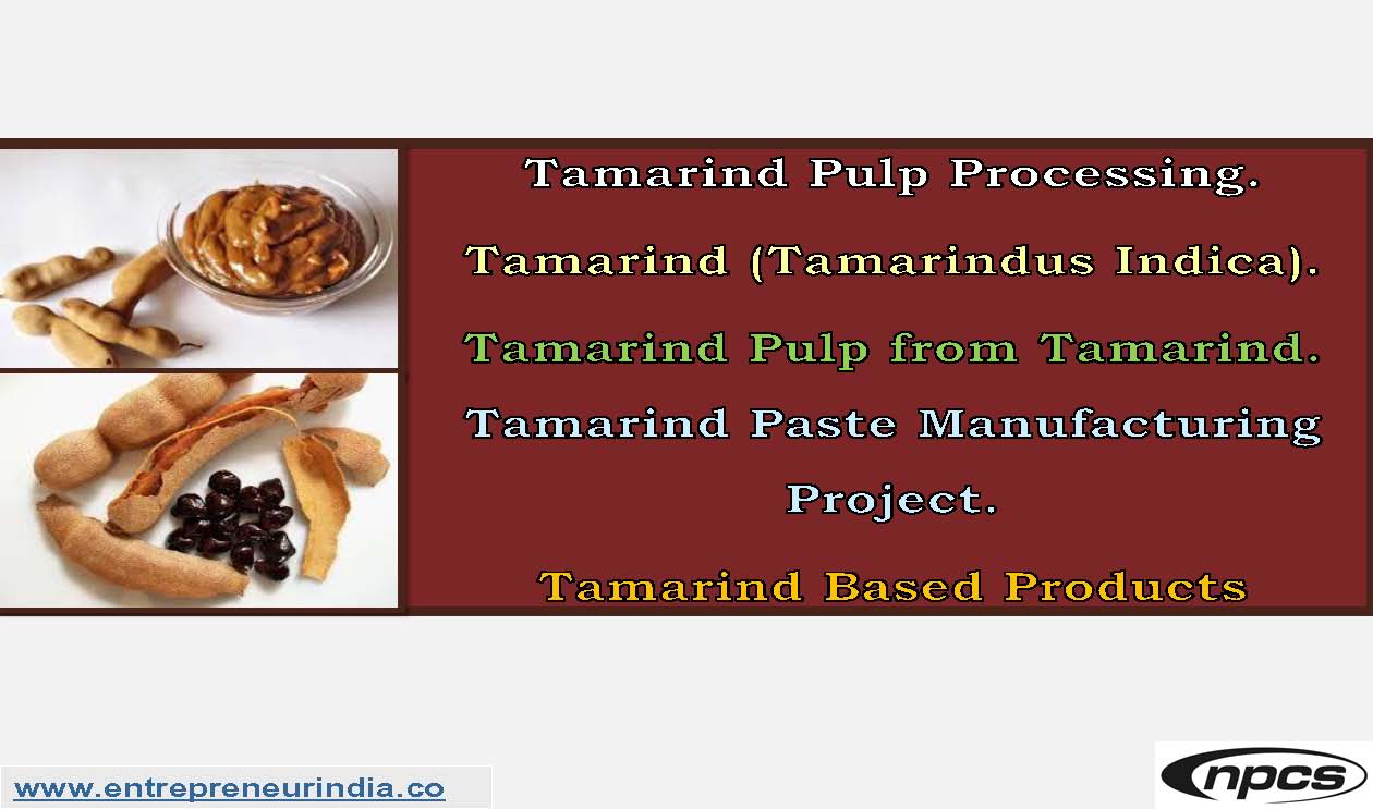 Tamarind Pulp Processing, Tamarind (Tamarindus Indica)