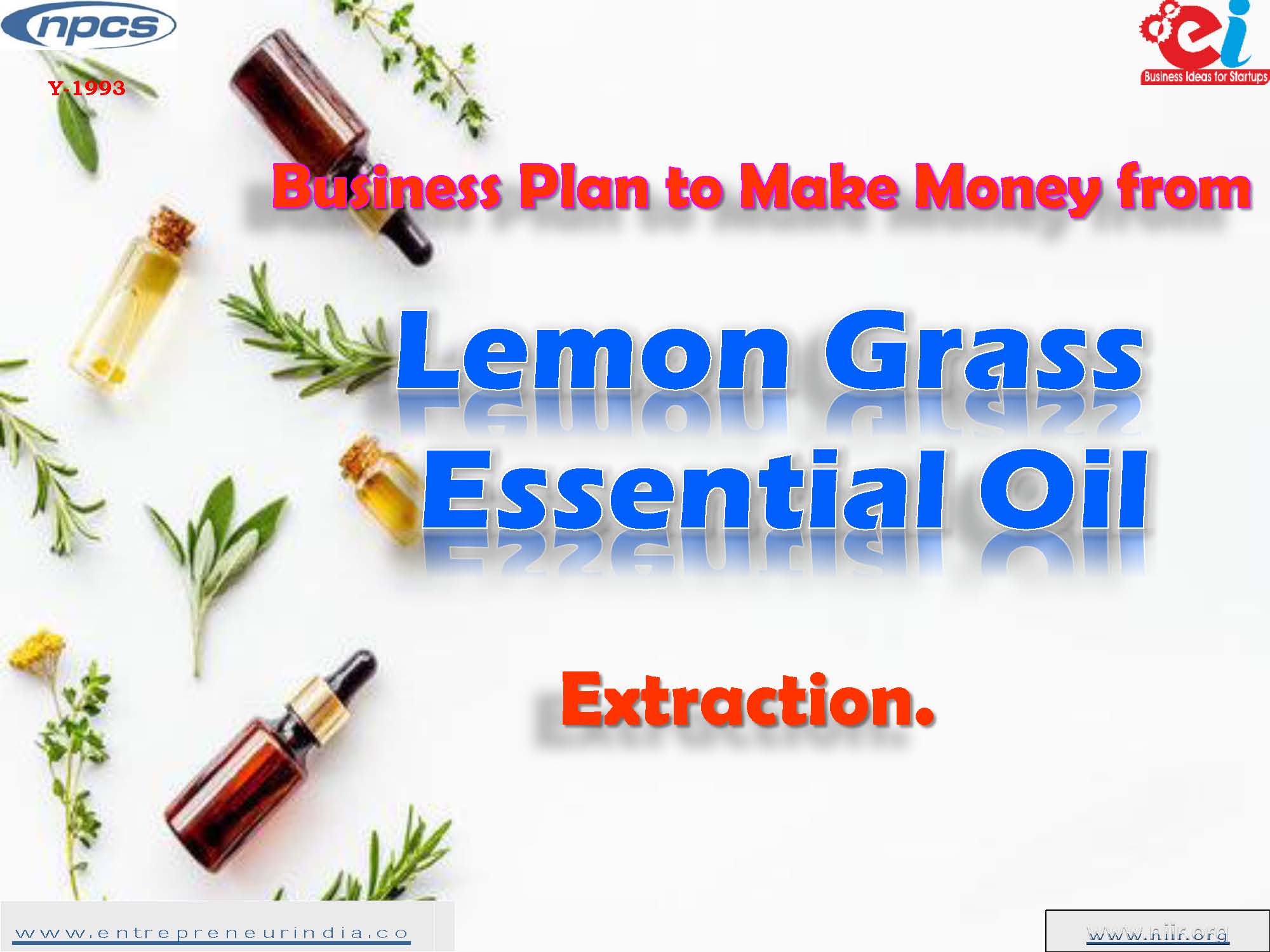Business Plan to Make Money from Lemon Grass Essential Oil Extraction