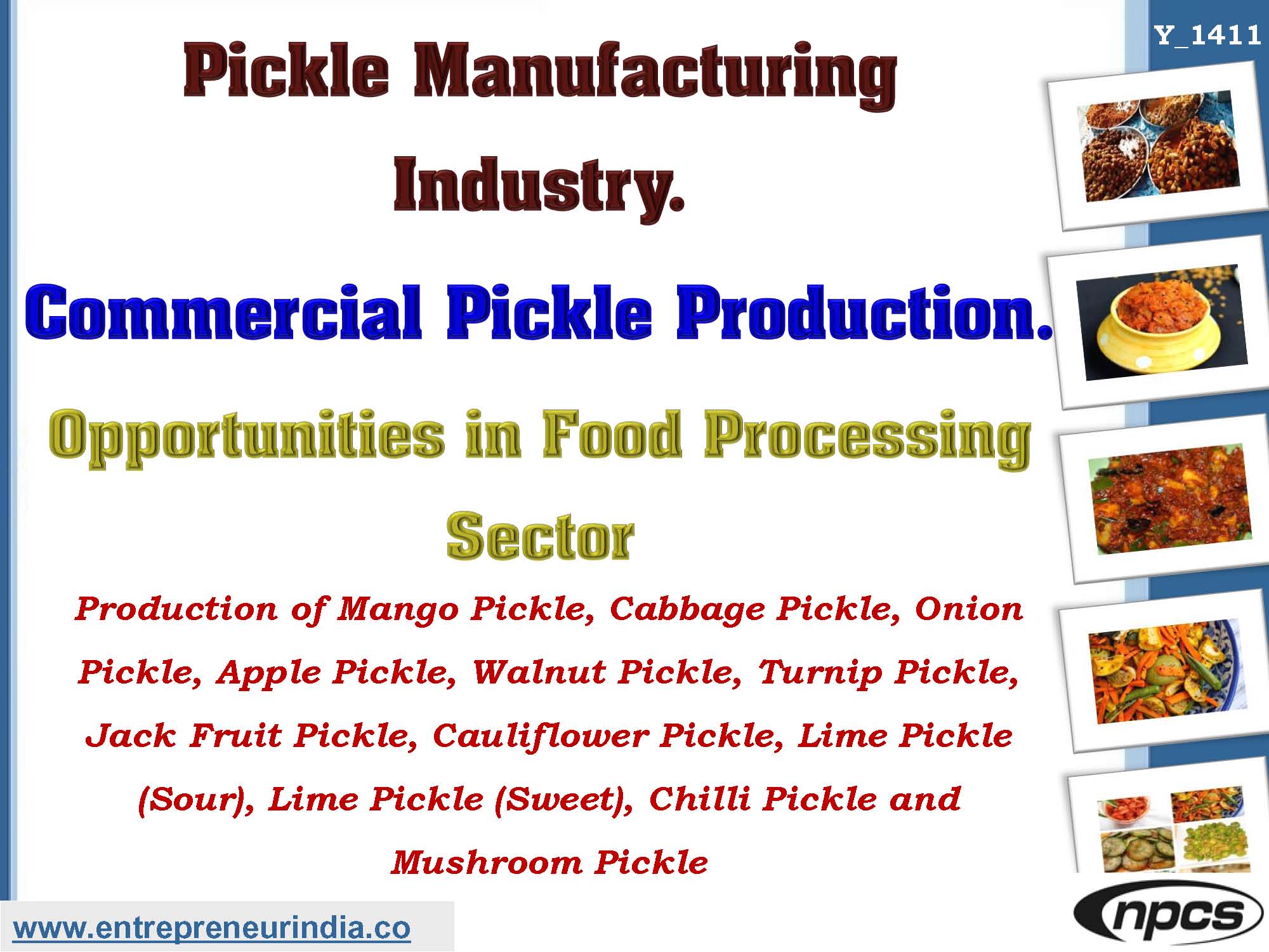 business plan for pickle industry