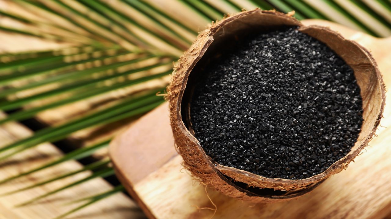 Start Industry of Activated Carbon from Coconut Shell