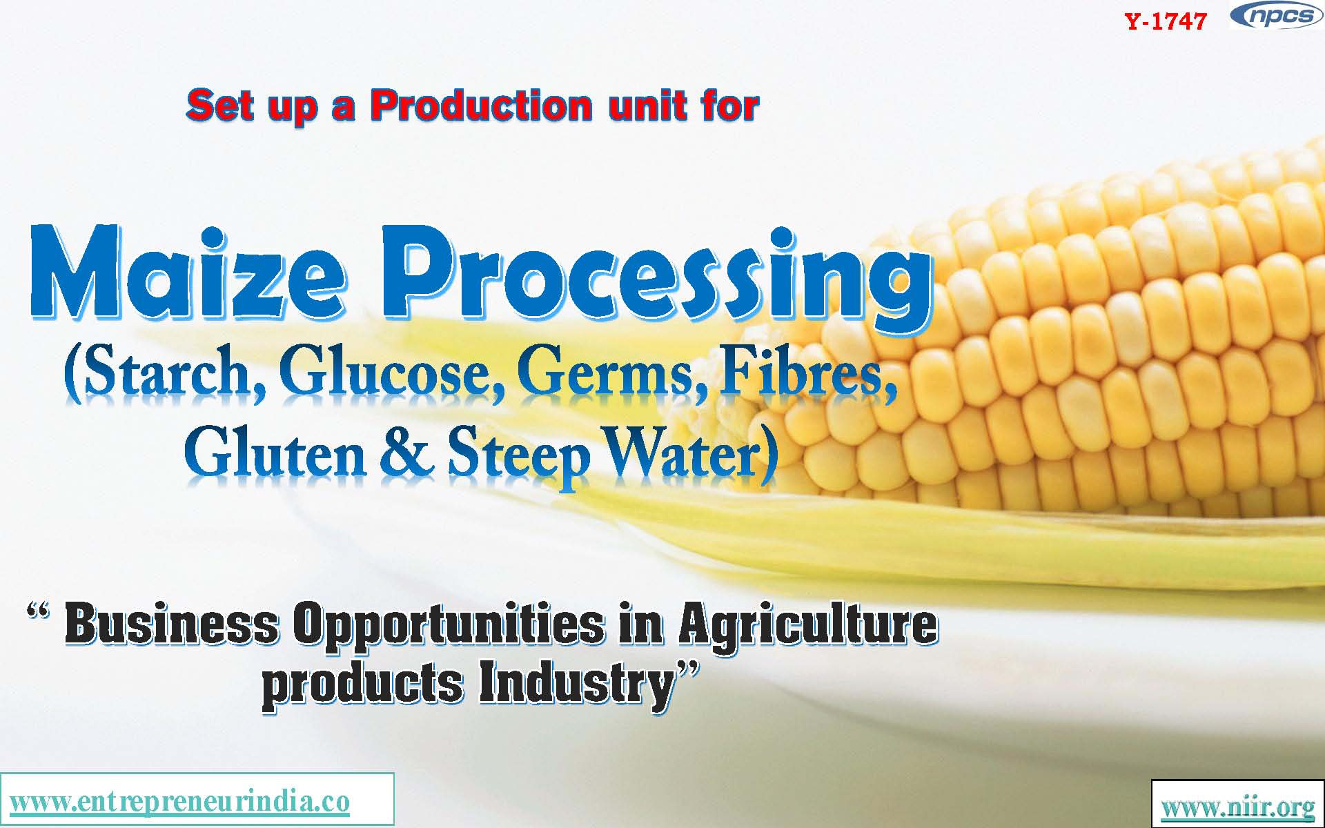 Set up a Production unit for Maize Processing Starch, Glucose, Germs, Fibres, Gluten and Steep Water Business Opportunities in Agriculture products Industry