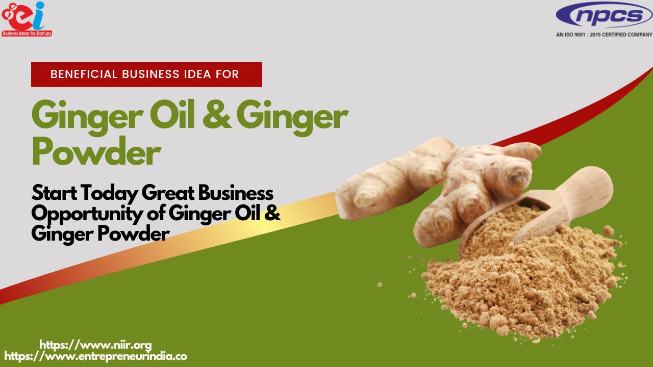 Beneficial Business Idea for Ginger Oil & Ginger Powder Start Today Great Business Opportunity of Ginger Oil & Ginger Powder