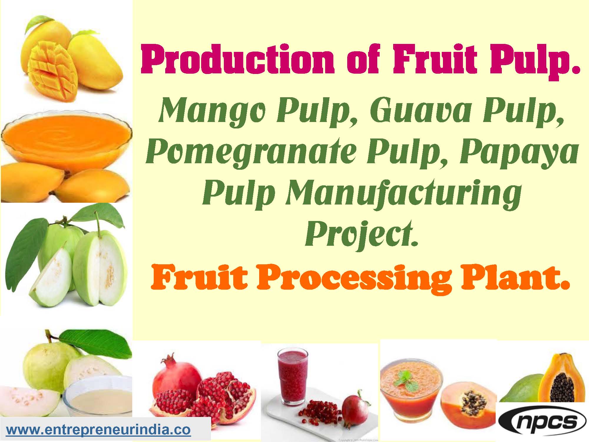 Production of Fruit Pulp. Mango Pulp, Guava Pulp, Pomegranate Pulp, Papaya Pulp Manufacturing Project