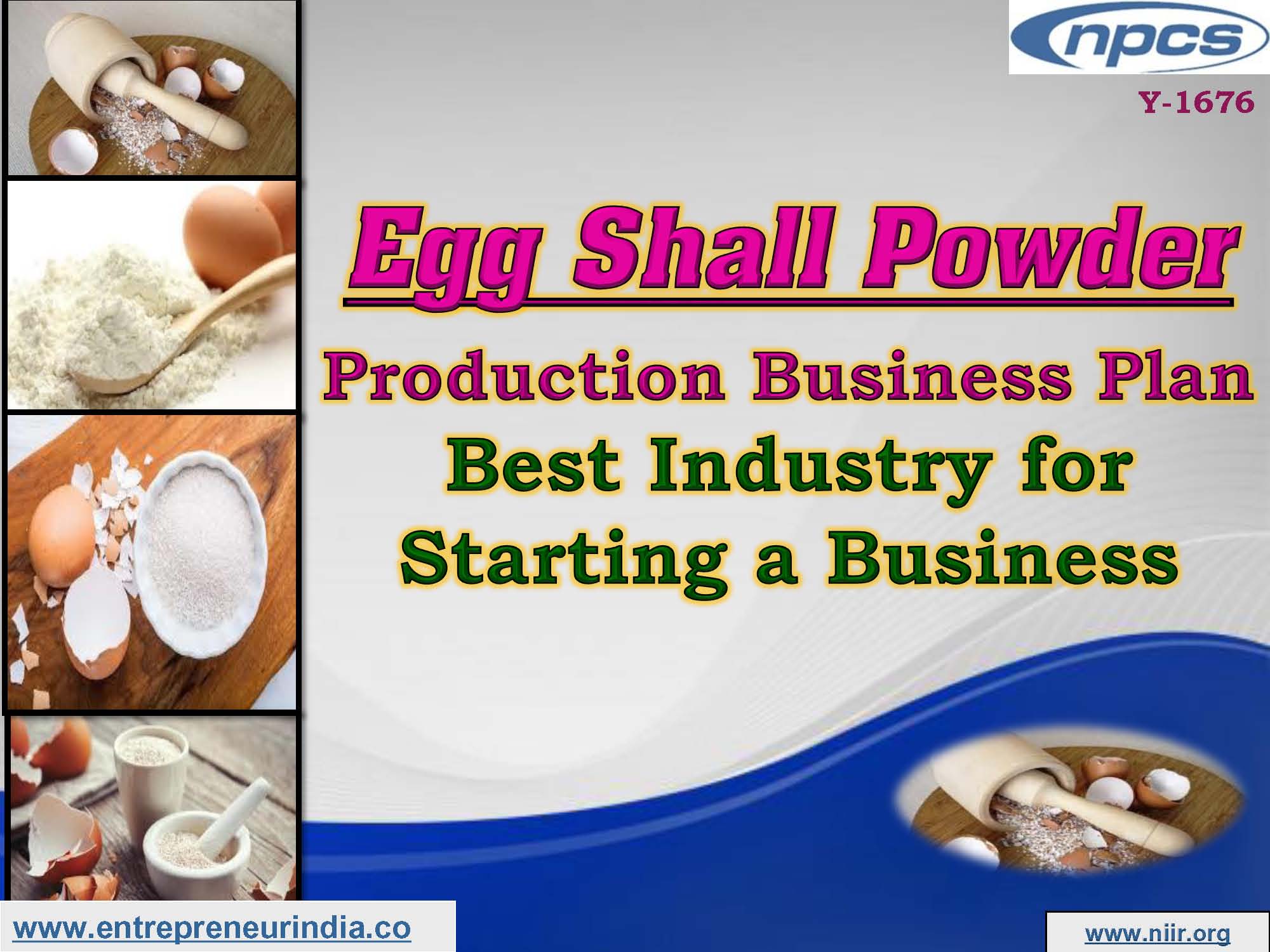 egg shell powder production business plan pdf