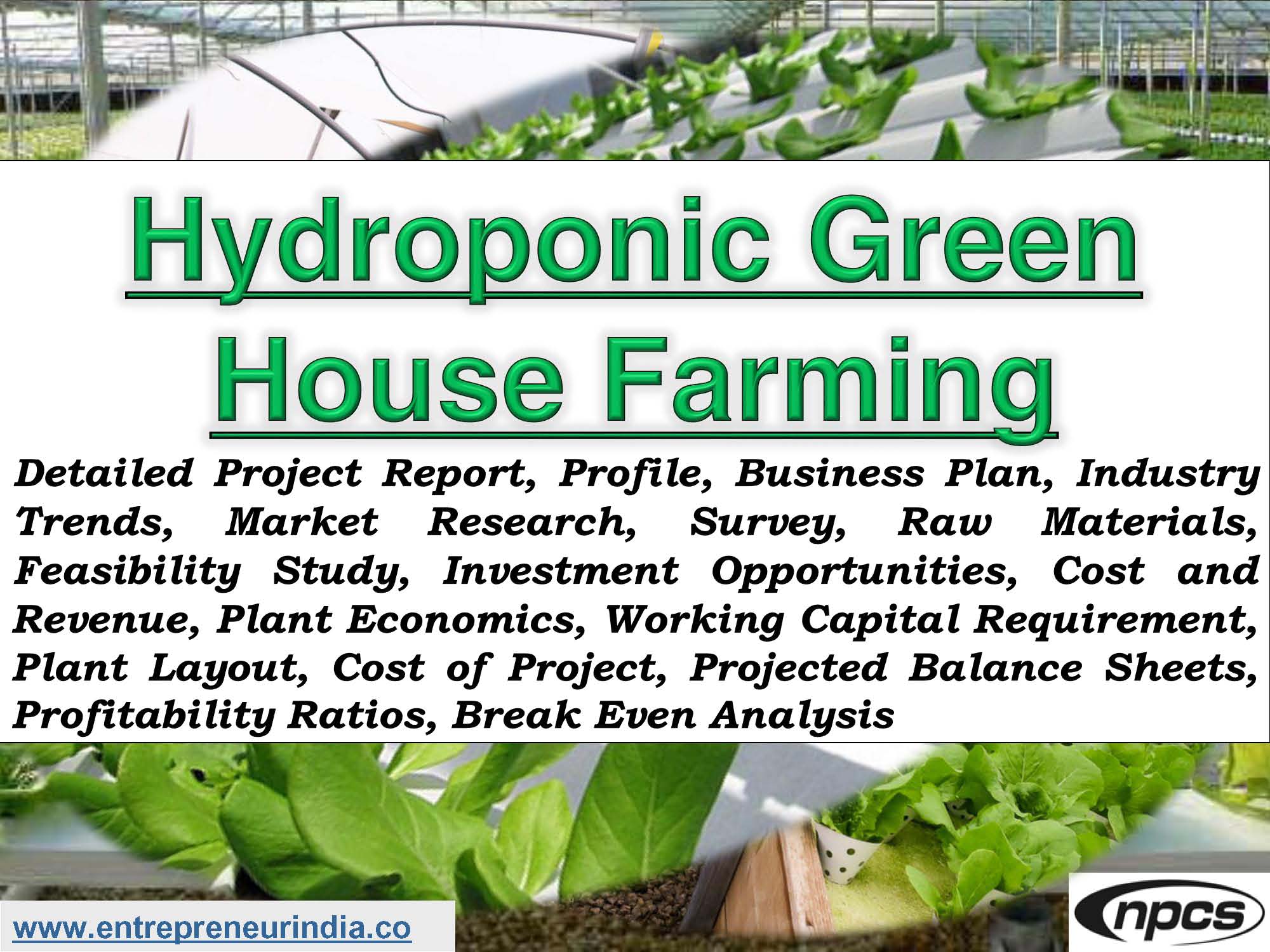 Hydroponic Green House Farming