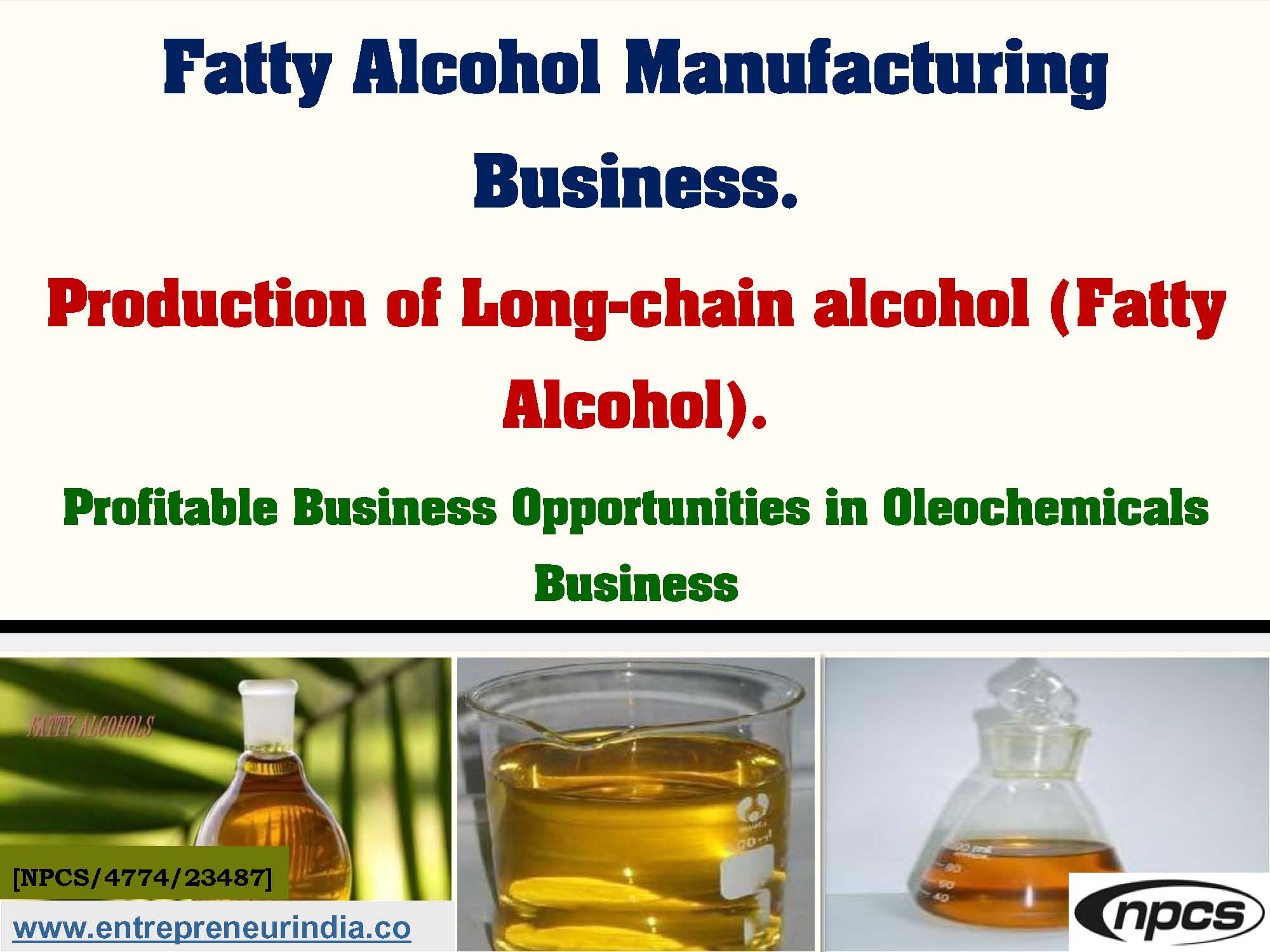 Fatty Alcohol Manufacturing Business
