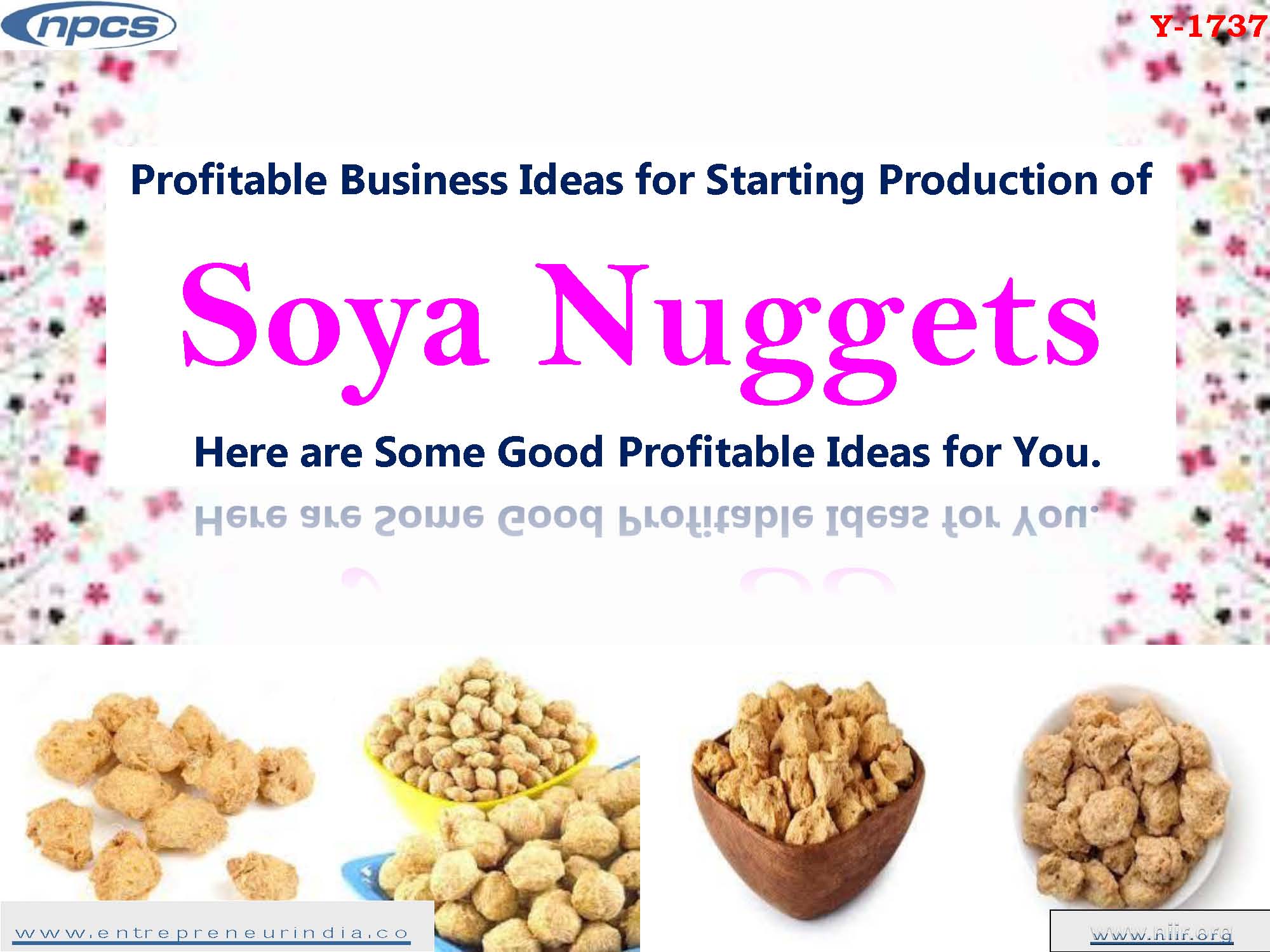 Profitable Business Ideas for Starting Production of Soya Nuggets, Here are Some Good Profitable Ideas for You
