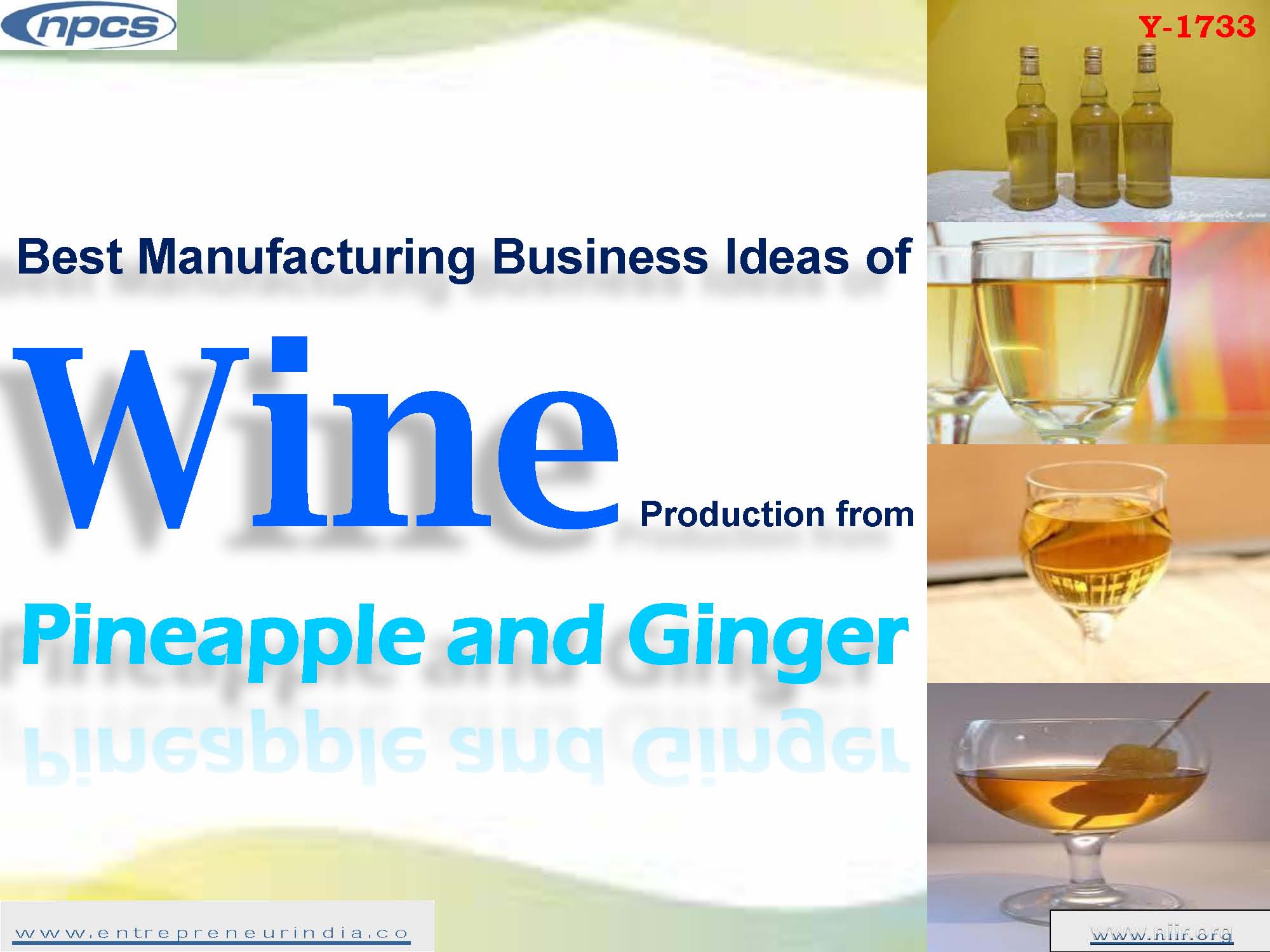 Best Manufacturing Business Ideas of Wine Production from Pineapple and Ginger
