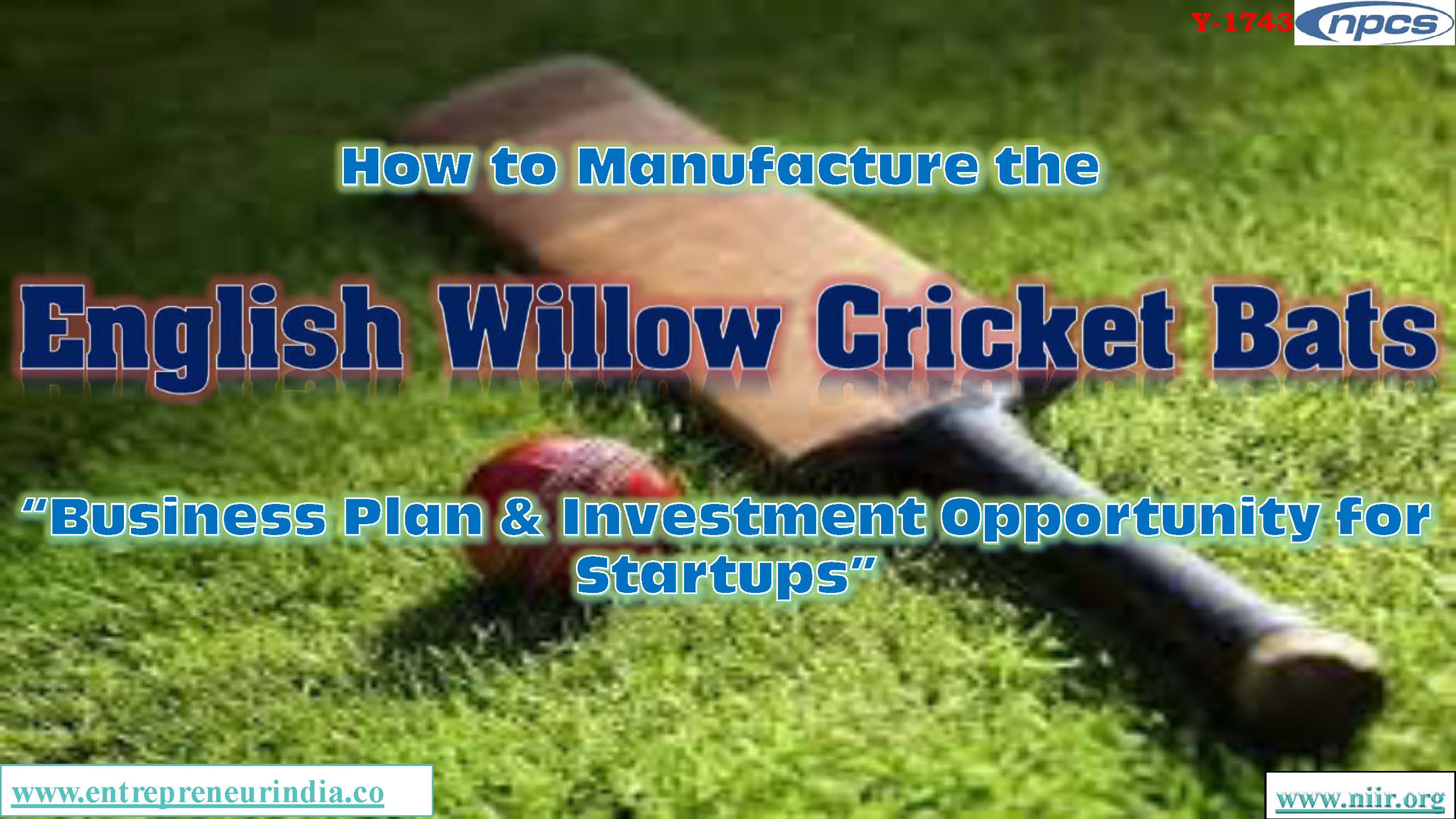 How to Manufacture the English Willow Cricket Bats Business Plan and Investment Opportunity for Startups