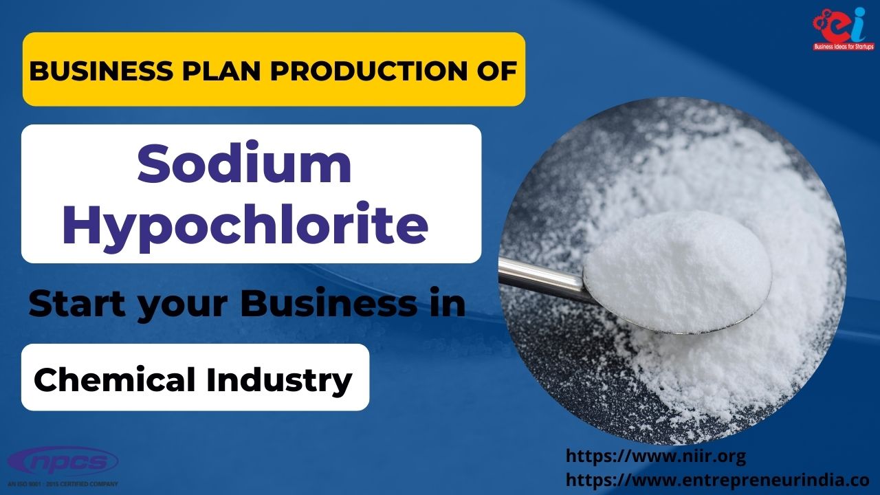 Business Plan Production of Sodium Hypochlorite Start your Business in Chemical Industry
