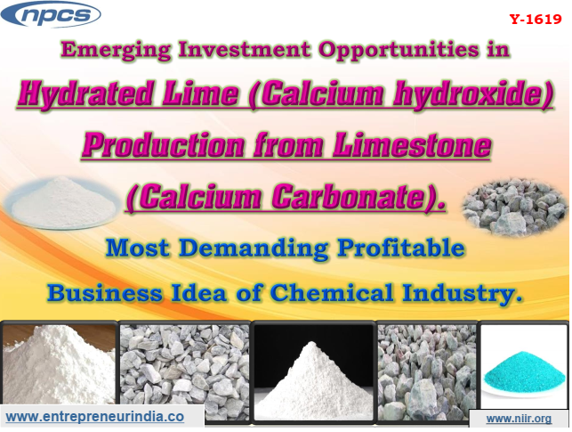 Emerging Investment Opportunities in Hydrated Lime (Calcium hydroxide) Production from Limestone