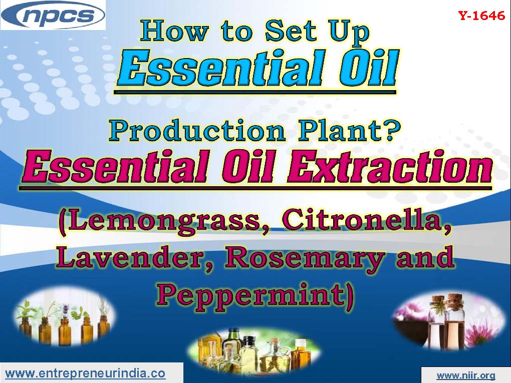 How to Set Up Essential Oil Production Plant