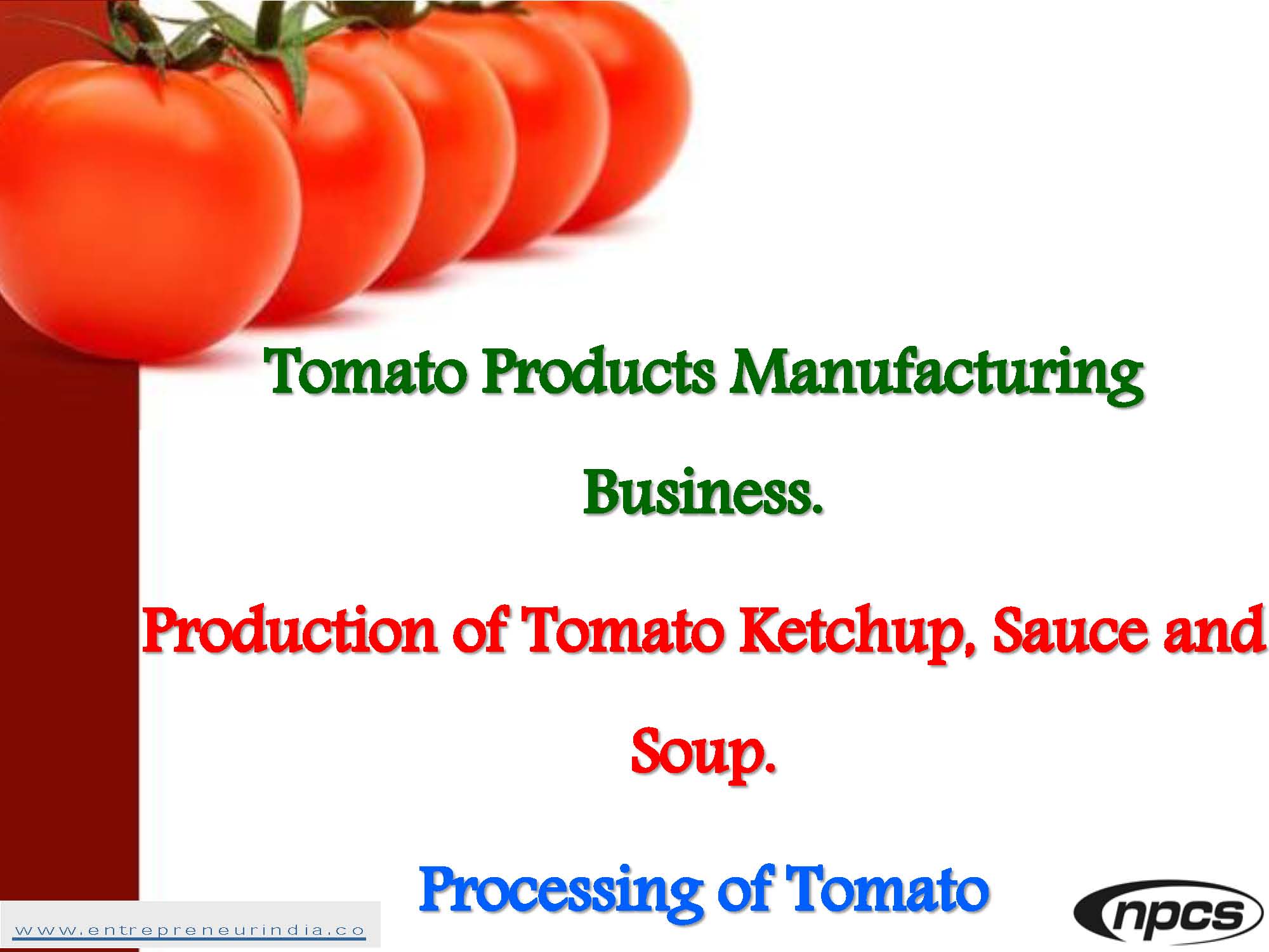 Tomato Products Manufacturing Business