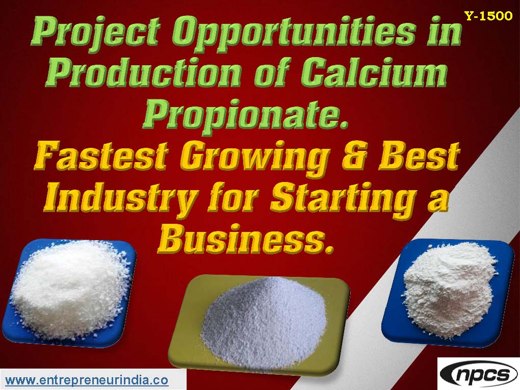 Project Opportunities in Production of Calcium Propionate. Fastest Growing & Best Industry for Starting a Business.