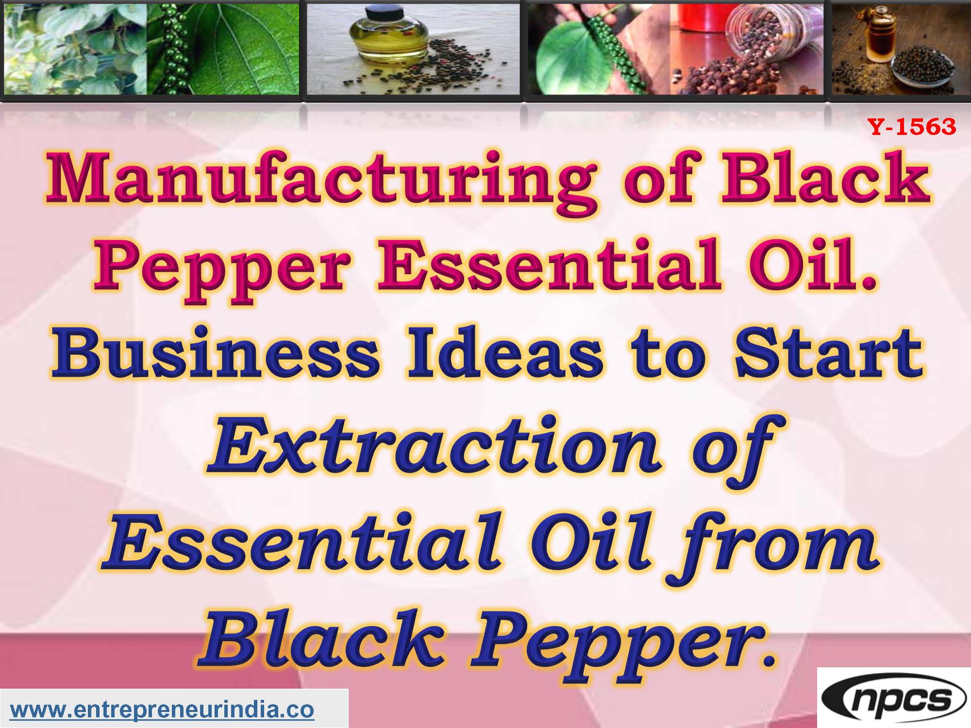 Manufacturing of Black Pepper Essential Oil