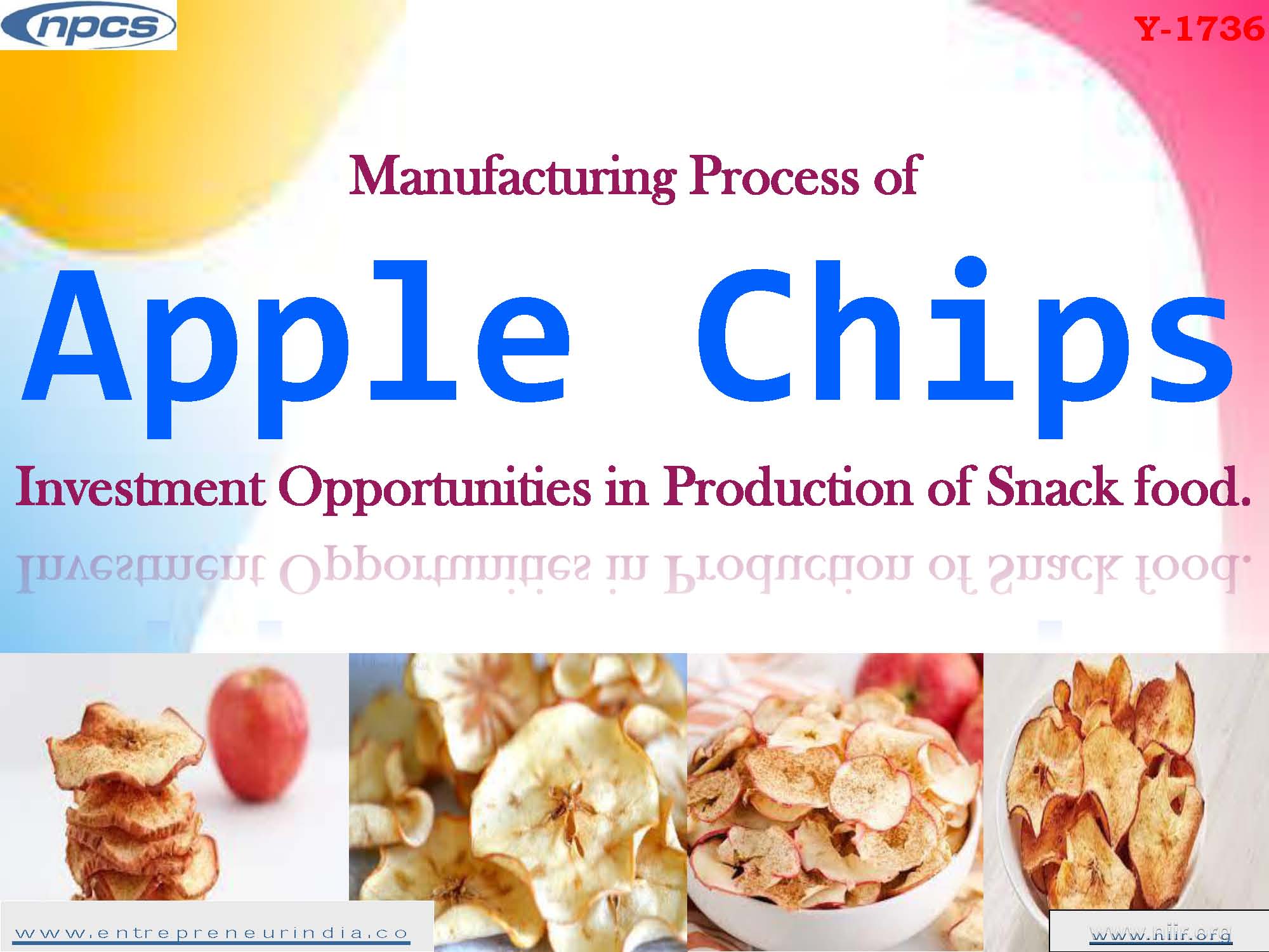 Manufacturing Process of Apple Chips Investment Opportunities in Production of Snack food